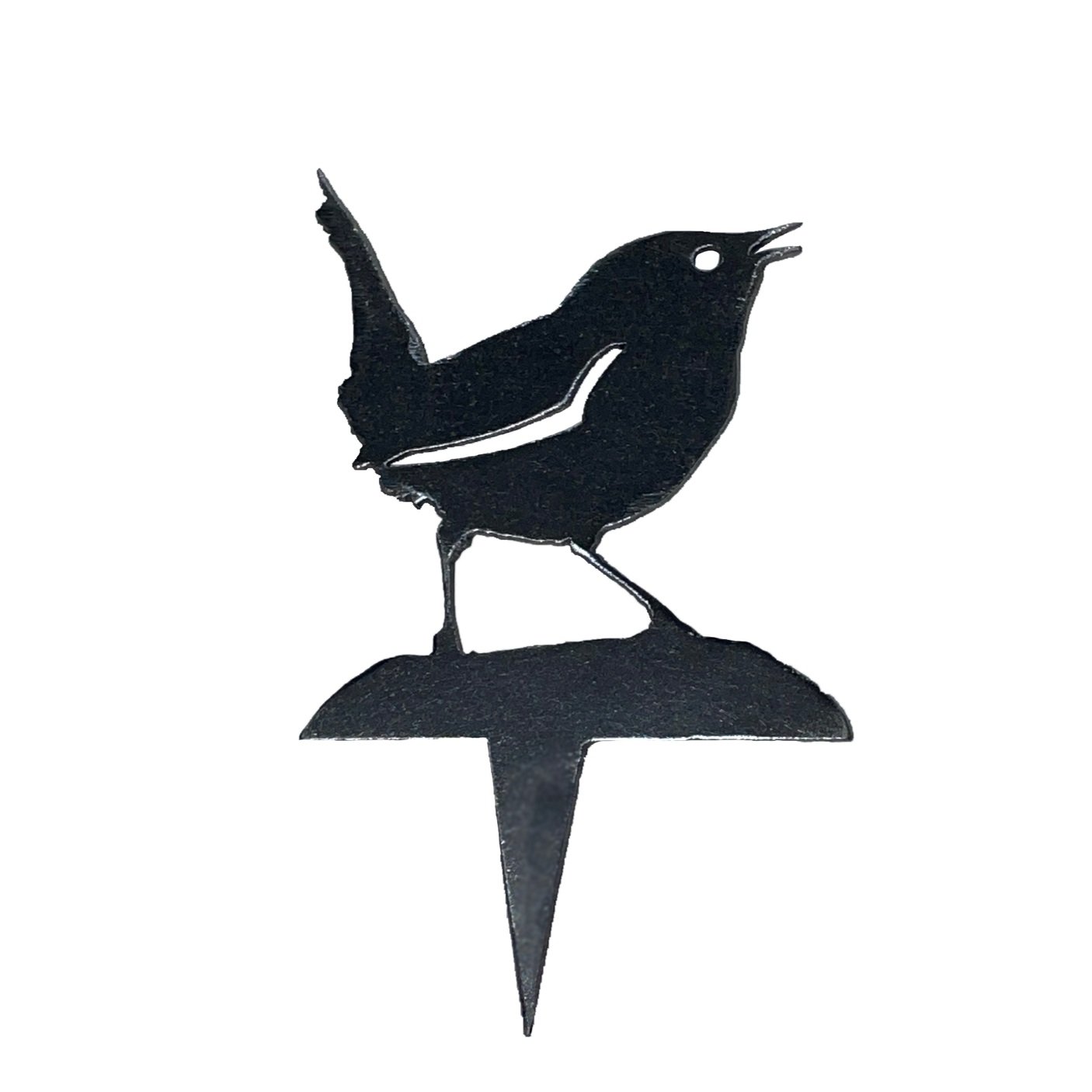 wren5.jpg