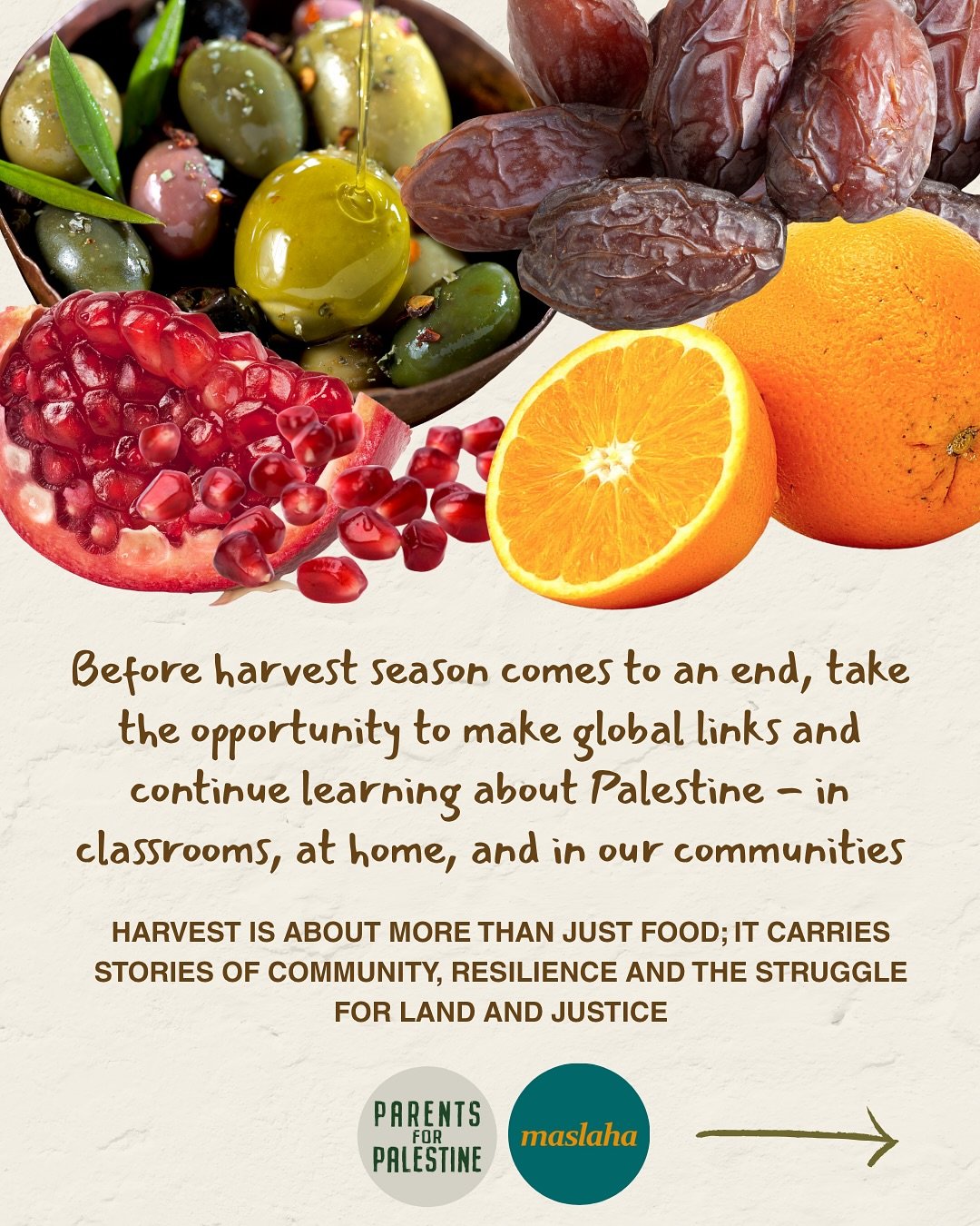 🌾 As harvest season comes to an end, here are some ways to explore how harvesting carries stories of community and land justice - learning from Palestine and making global links from Yaffa to Gaza to Nablus. 🫒 🇵🇸
