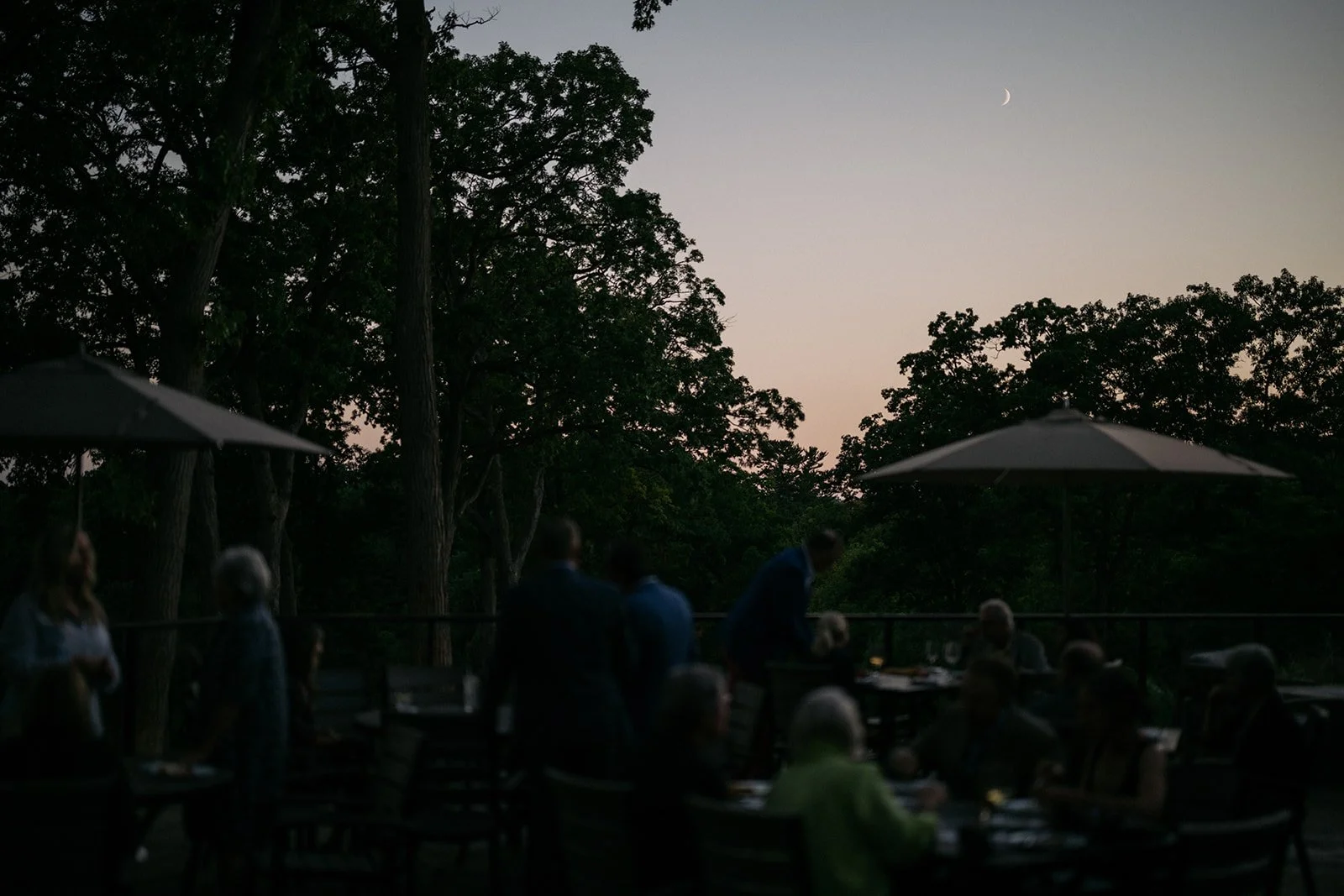 Outdoor restaurant scene during dusk with people dining under large umbrellas, surrounded by tall trees, and the moon visible in the sky.