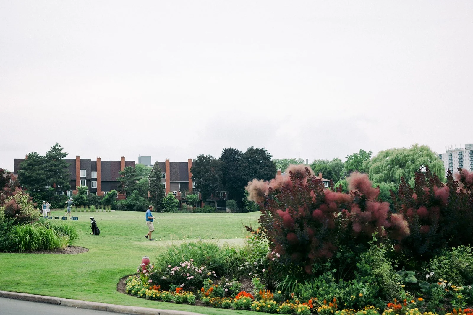 A golf course with a man playing and a few others in the background, surrounded by lush green trees and vibrant flowers in the foreground, with residential buildings in the distance under a cloudy sky.