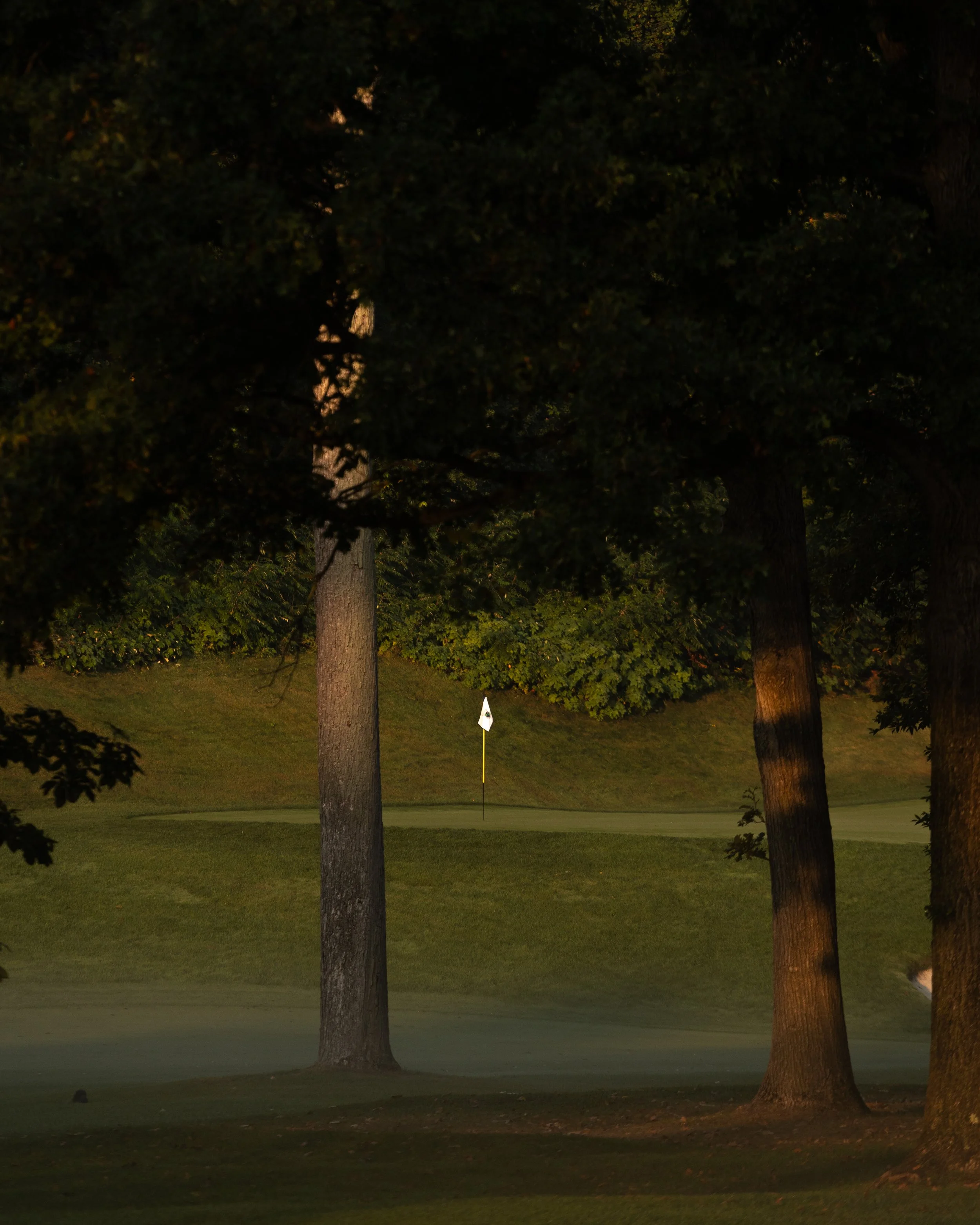 A golf course at dusk with three large trees in the foreground, a putting green, and a flagstick with a flag in the background. The scene is dimly lit with warm light.