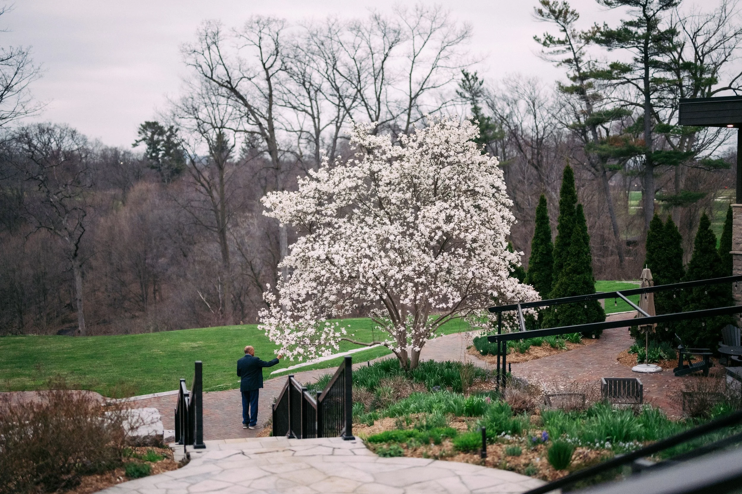 A man in a dark coat taking a photo of a blooming white tree in a park during overcast weather, with a pathway, benches, and trees in the background.