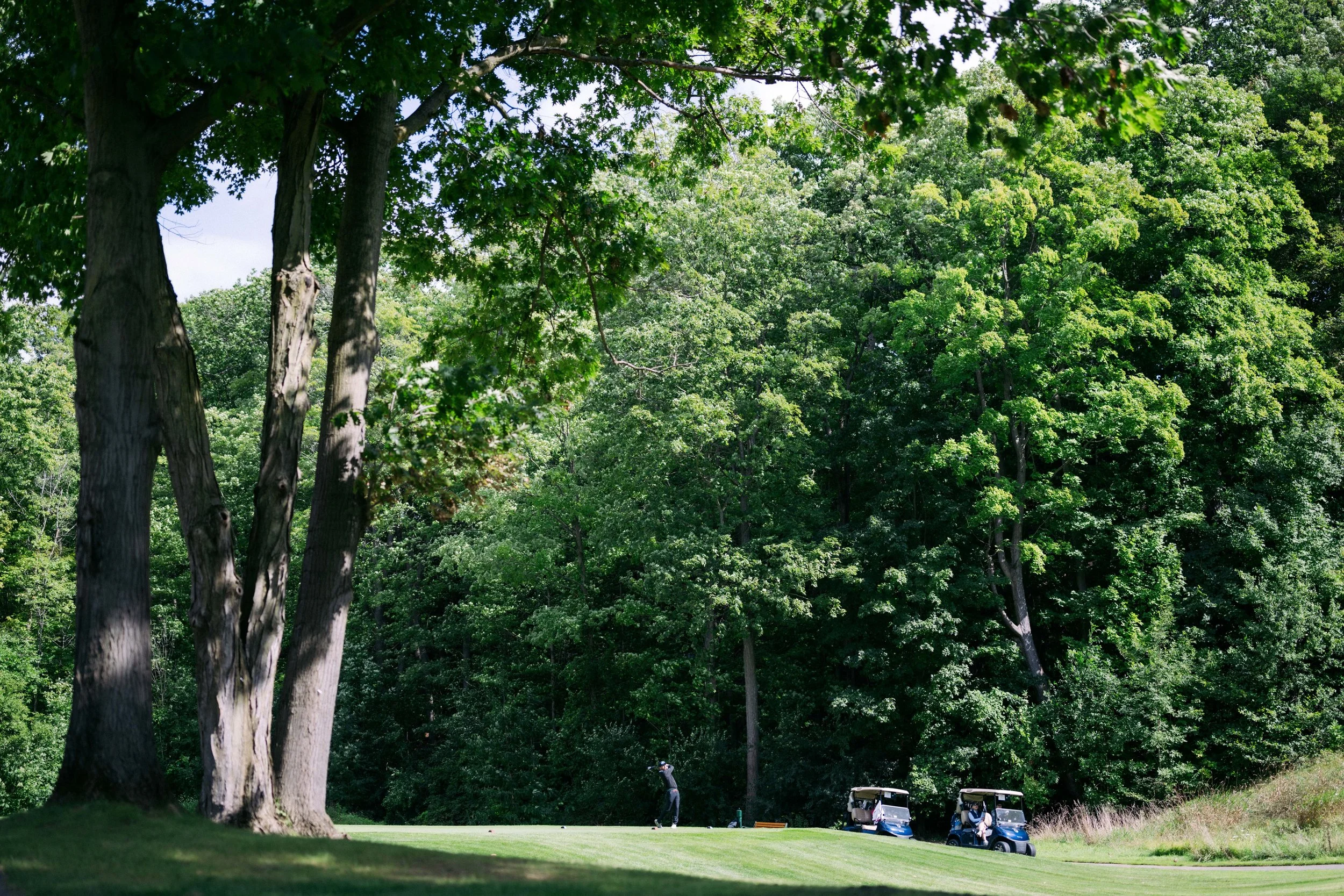 A person is playing golf on a course with tall trees and golf carts nearby, under bright sunlight.