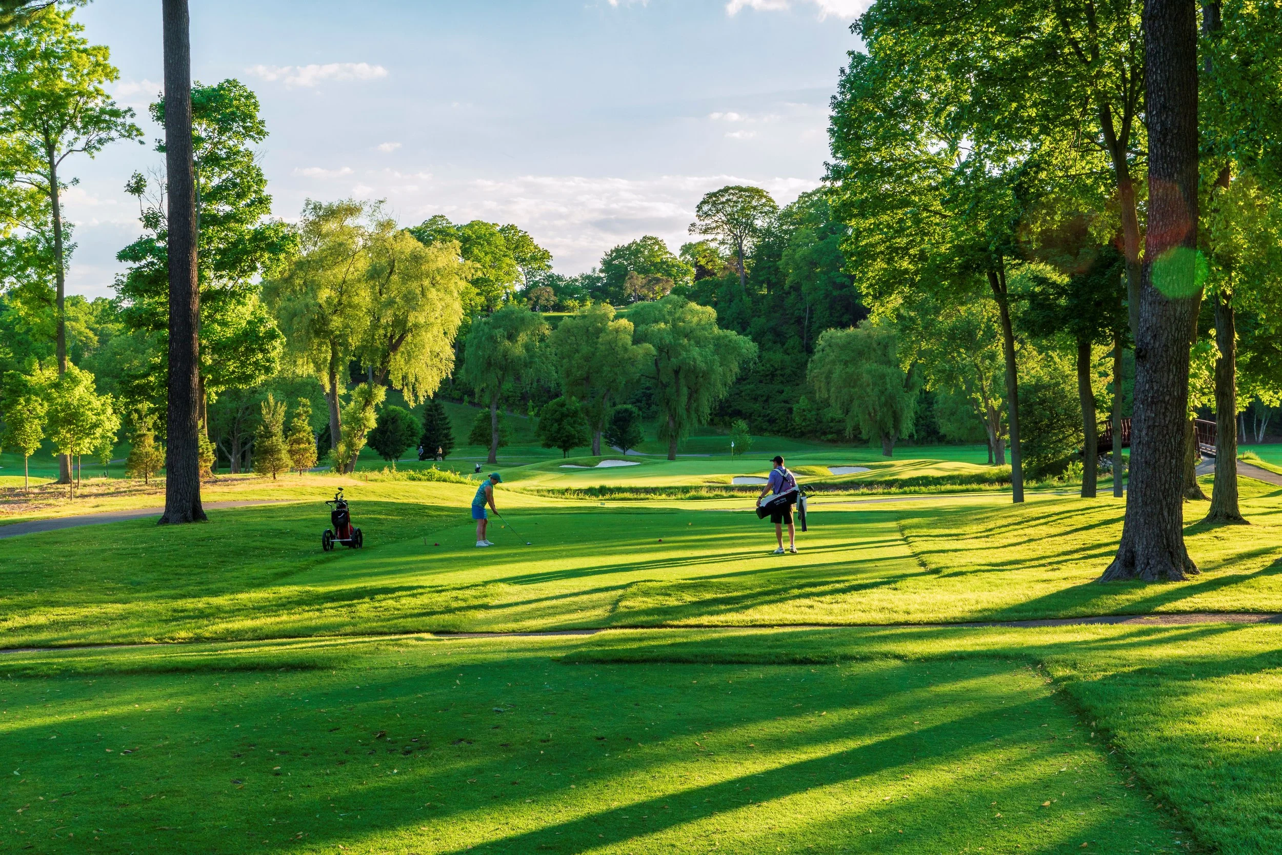 People playing golf on a lush green golf course surrounded by tall trees.