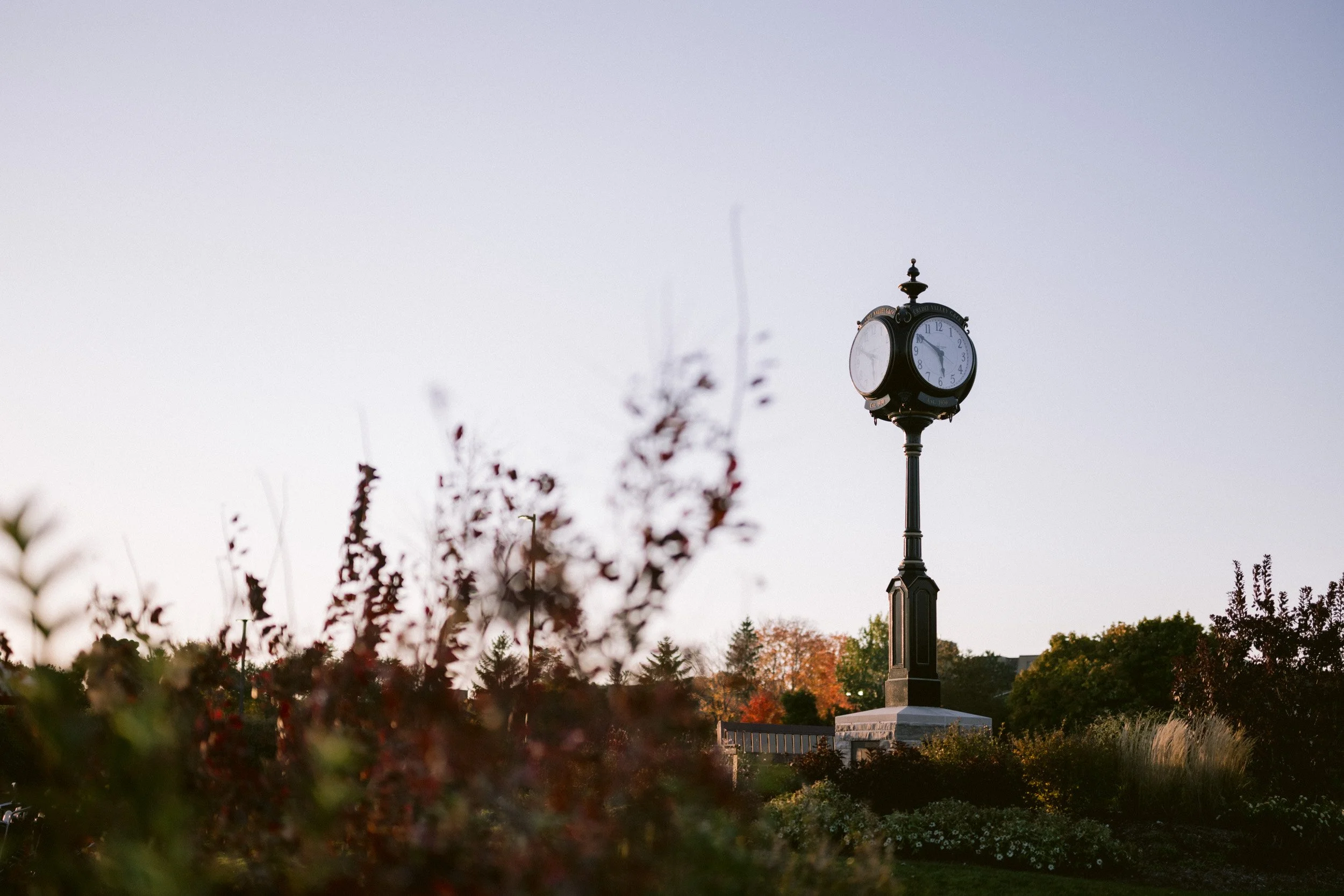 A historic black street clock with a white face, Roman numerals, and decorative details, situated in a park or public space during late afternoon or early evening with trees and foliage in the background.