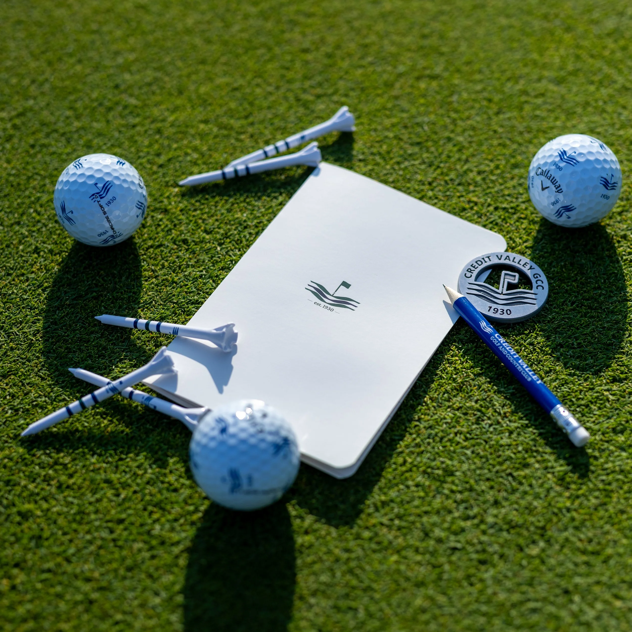 Two blue and white golf balls and several small white golf tees on green grass, with a white paper and a blue pen nearby.