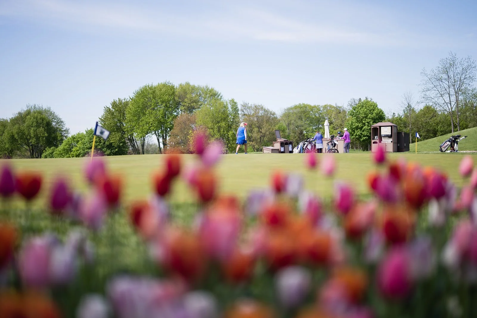 Golf course with women playing at the tee, trees and clear sky in the background, and colorful flowers in the foreground.