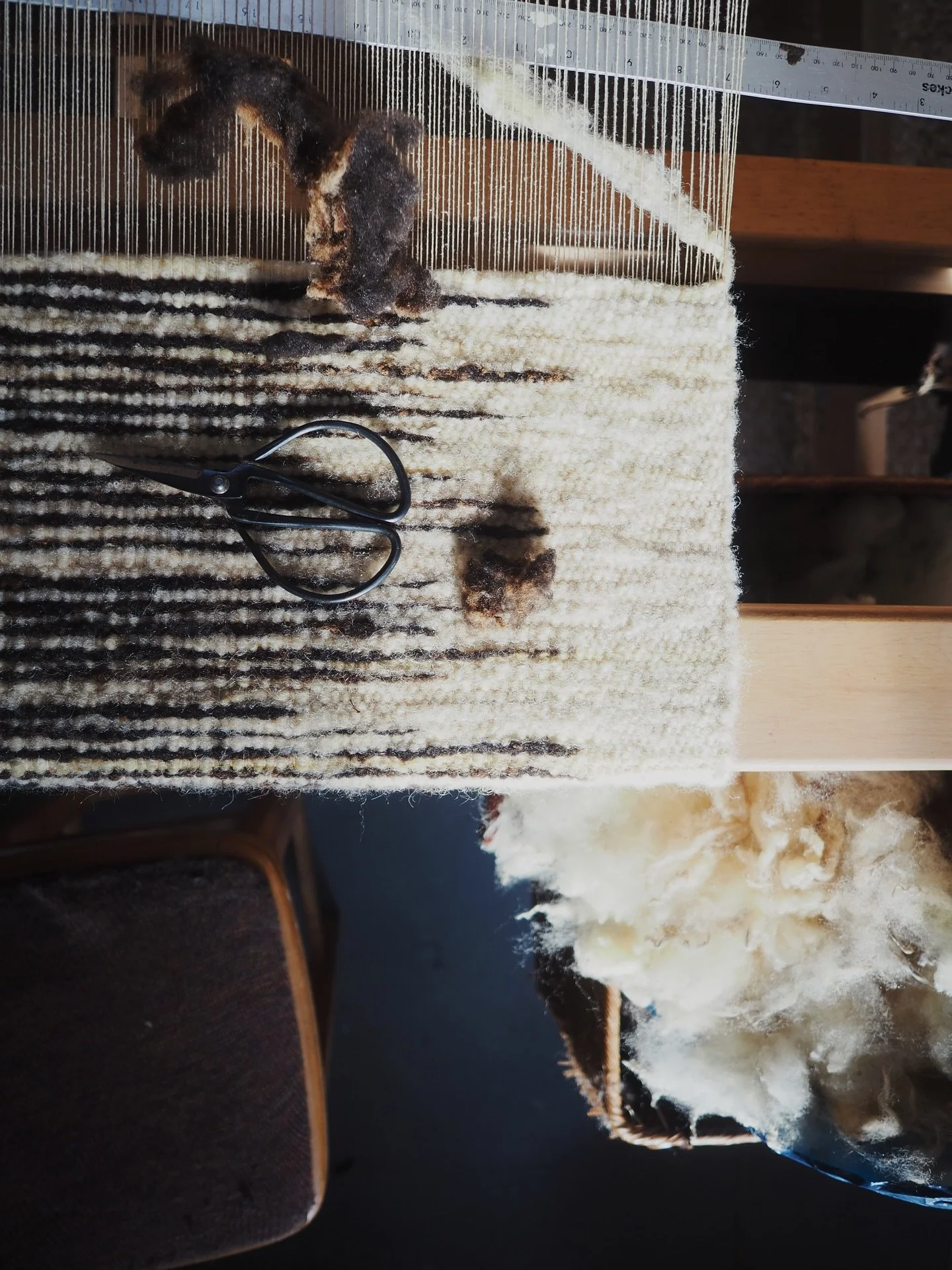 One of the Canto rugs on the loom just a few weeks ago - made from the same fleeces (from Bumblebee &amp; Wyld 🐑 🐝 ⛰️) as the set of coasters which have also gone to HARVEST opening this Saturday at Edinburgh&rsquo;s City Art Centre  @craftscotland