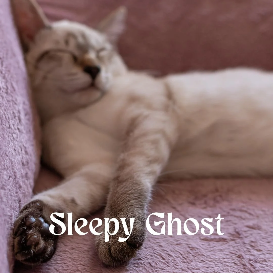 Sleepy Ghost