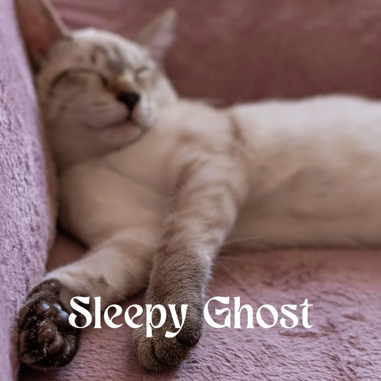 Sleepy Ghost
