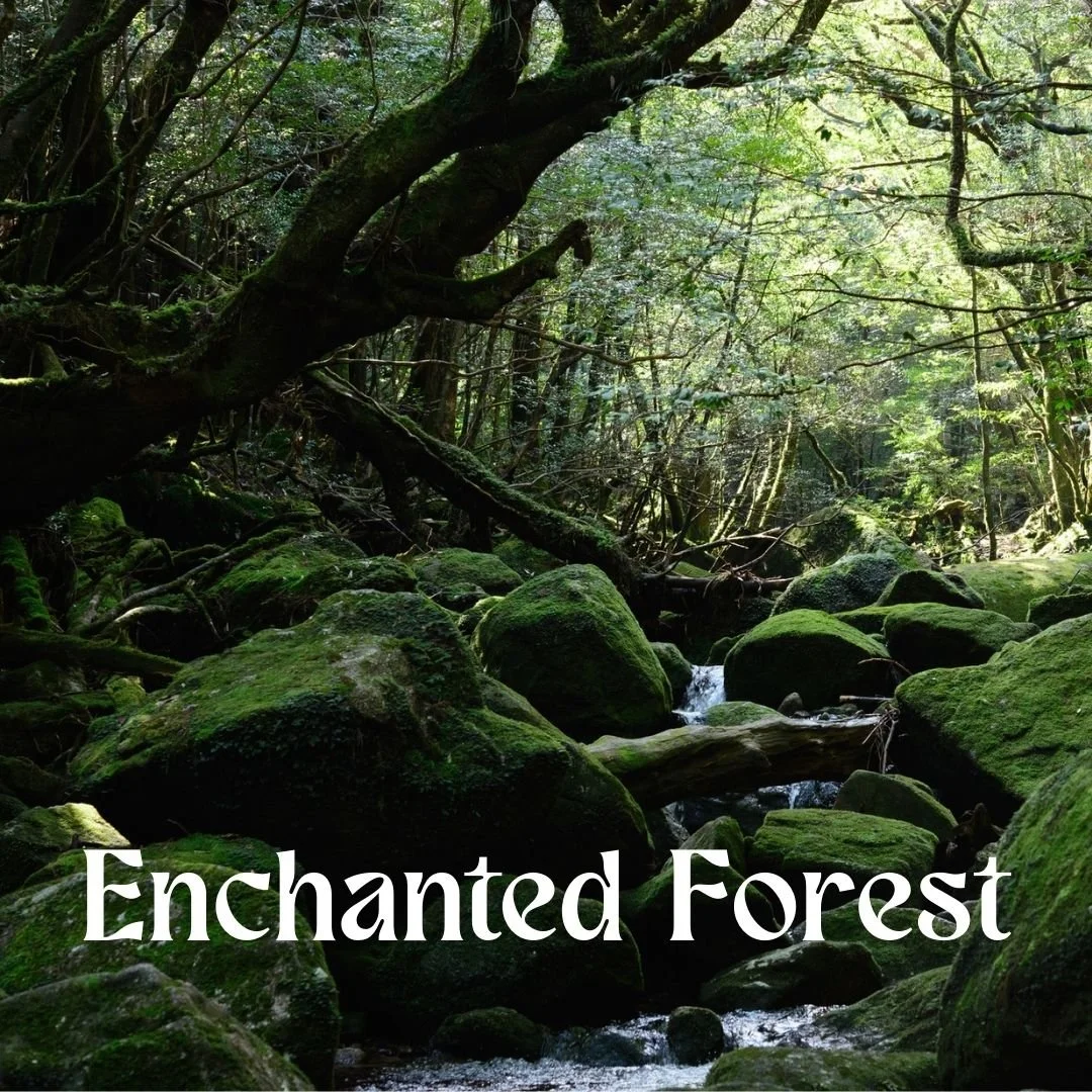 Enchanted Forest