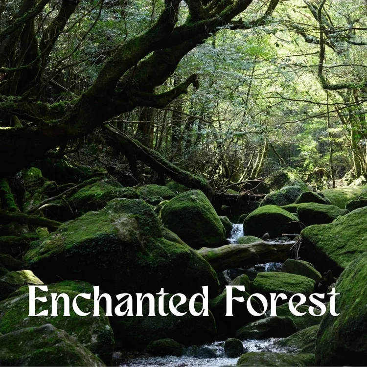 Enchanted Forest
