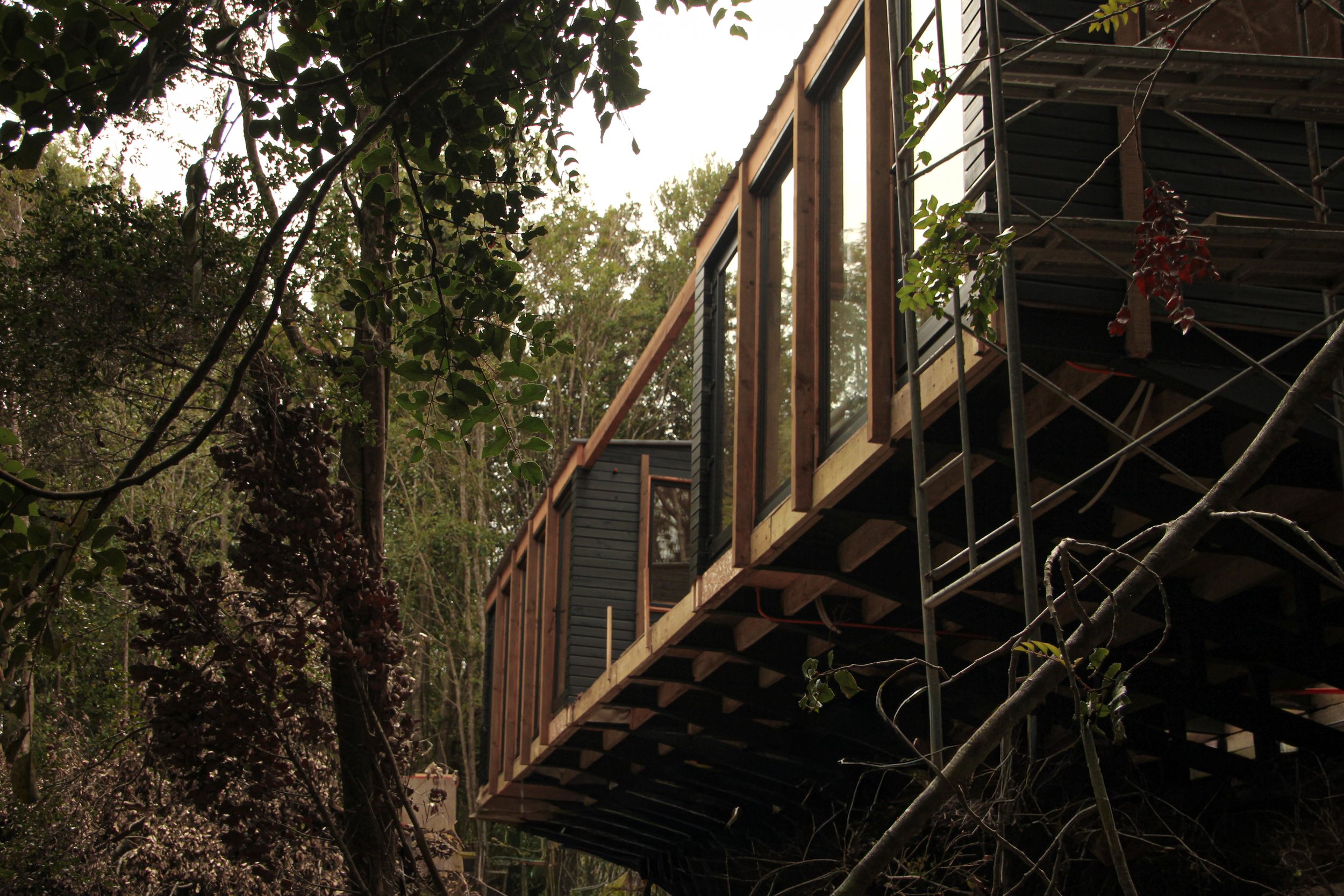 Imagen - Alpina Bosque  - 2.jpg