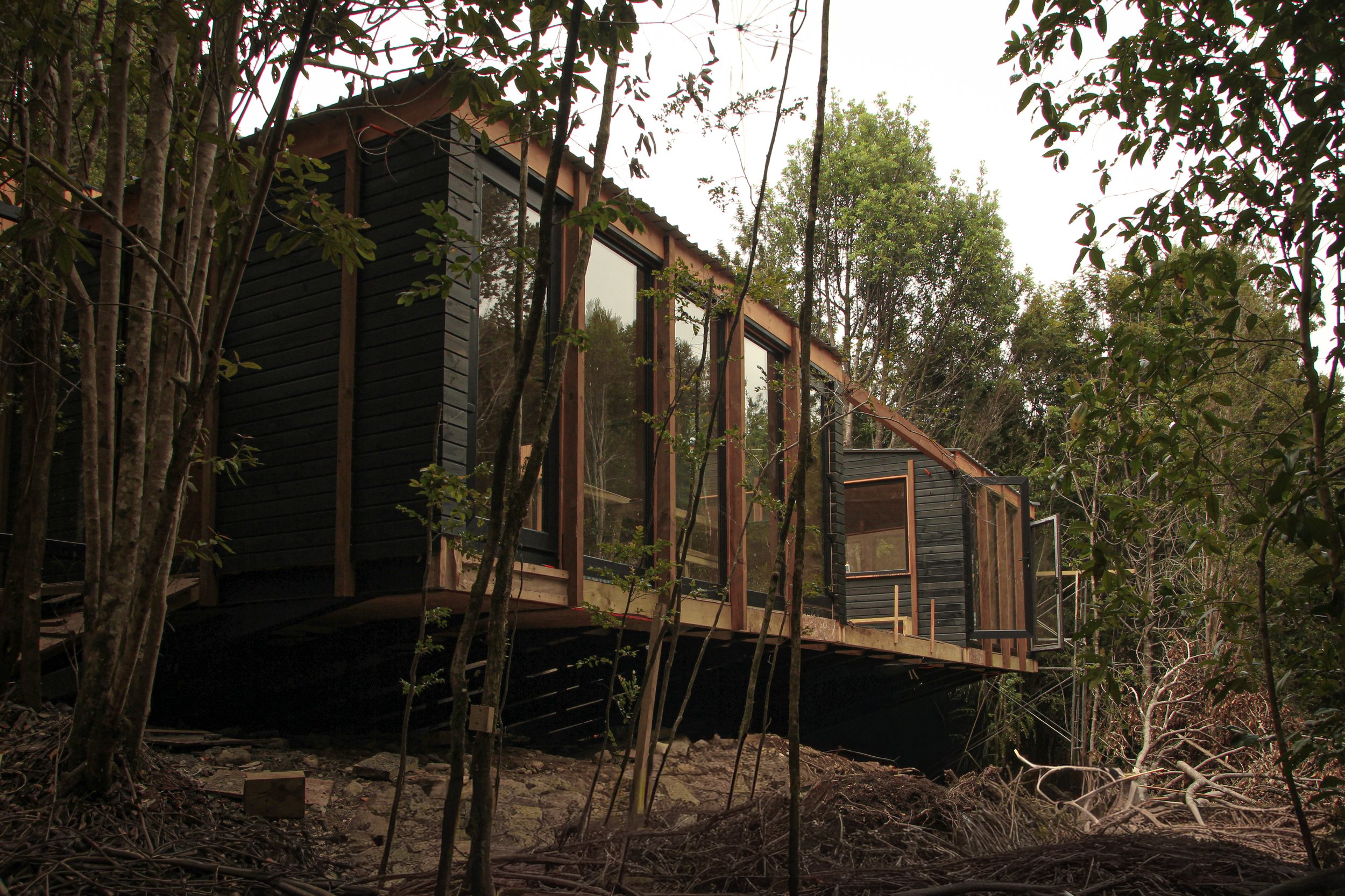 Imagen - Alpina Bosque  - 5.jpg