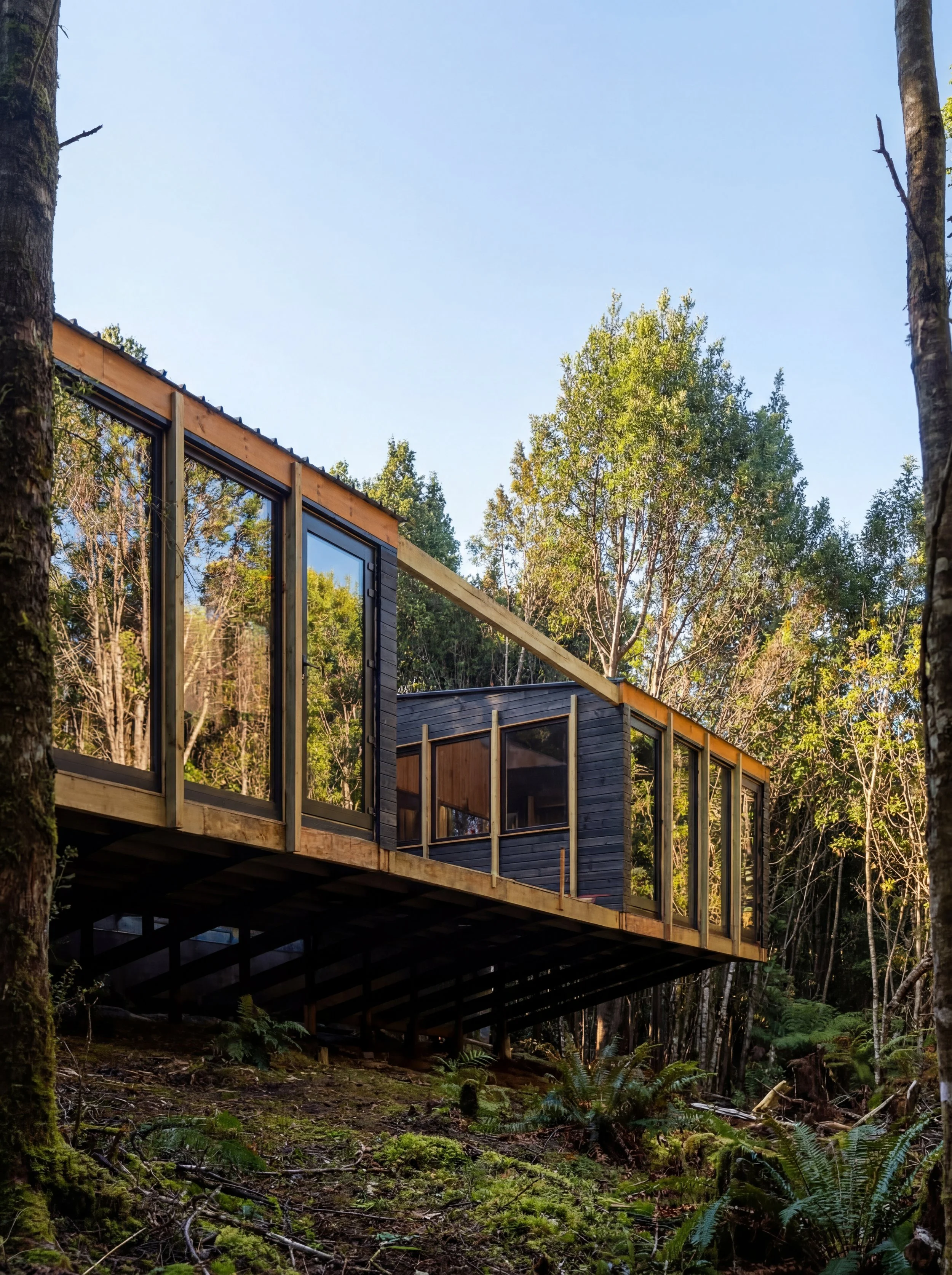 Casa Bosque Avance obra.png