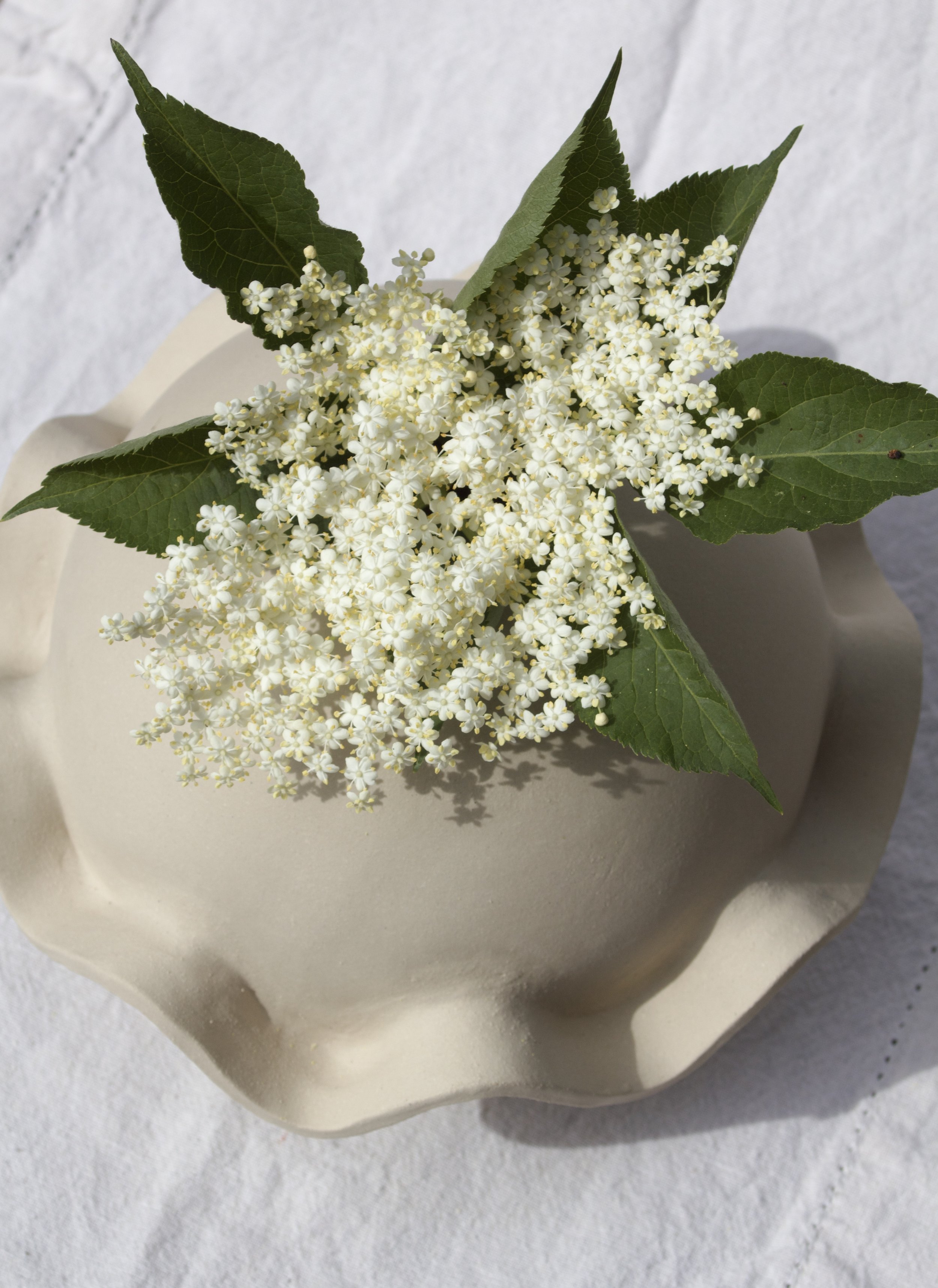 Wave Vase, mit Holunderblüten geschmückt / STUDIO LENA