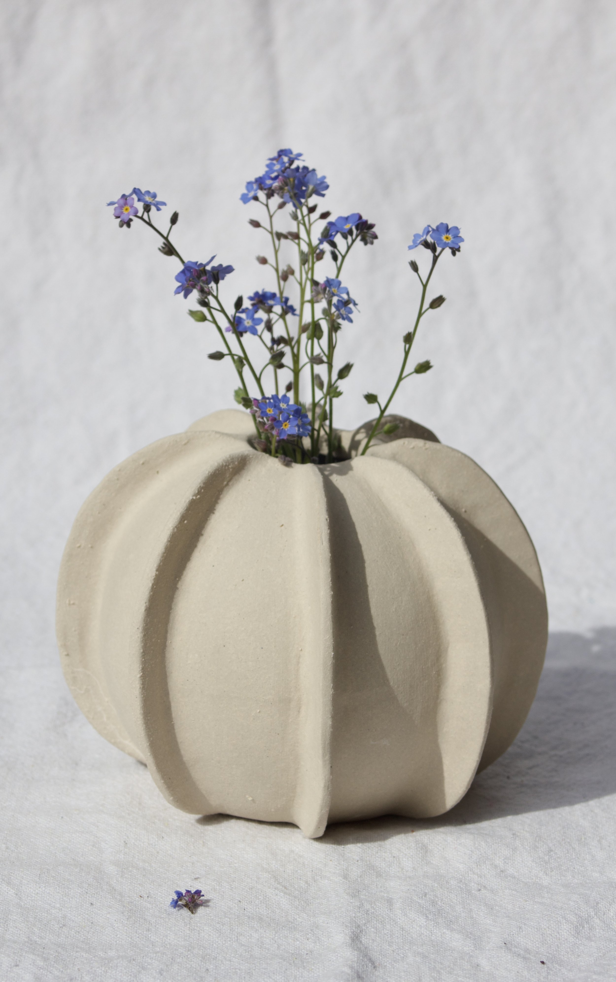 Kleine, weiße, gerippte Vase mit frischen Blumen