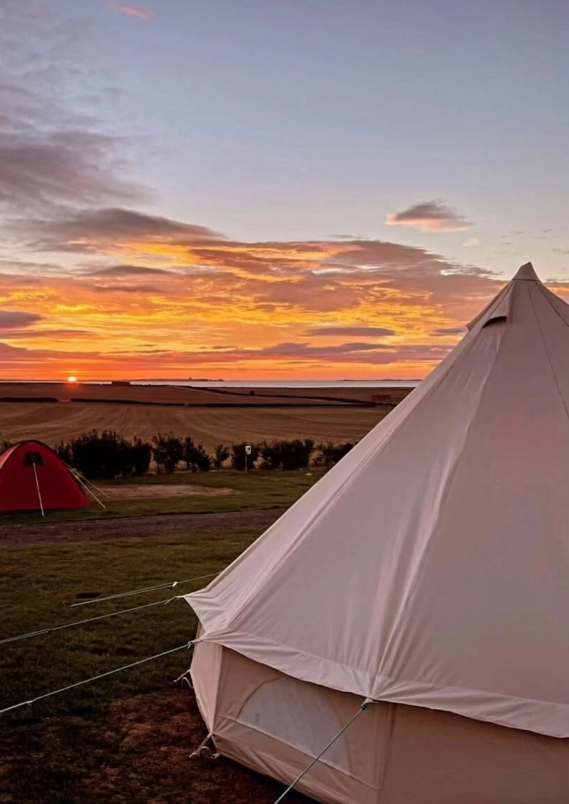 Tents in a field during a sunset, with a cloudy sky and a visible sun on the horizon.