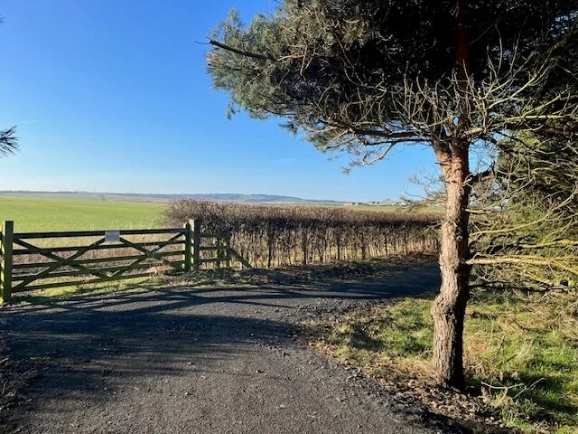 Countryside scene with a green field, wooden gate, trees, and a clear blue sky.