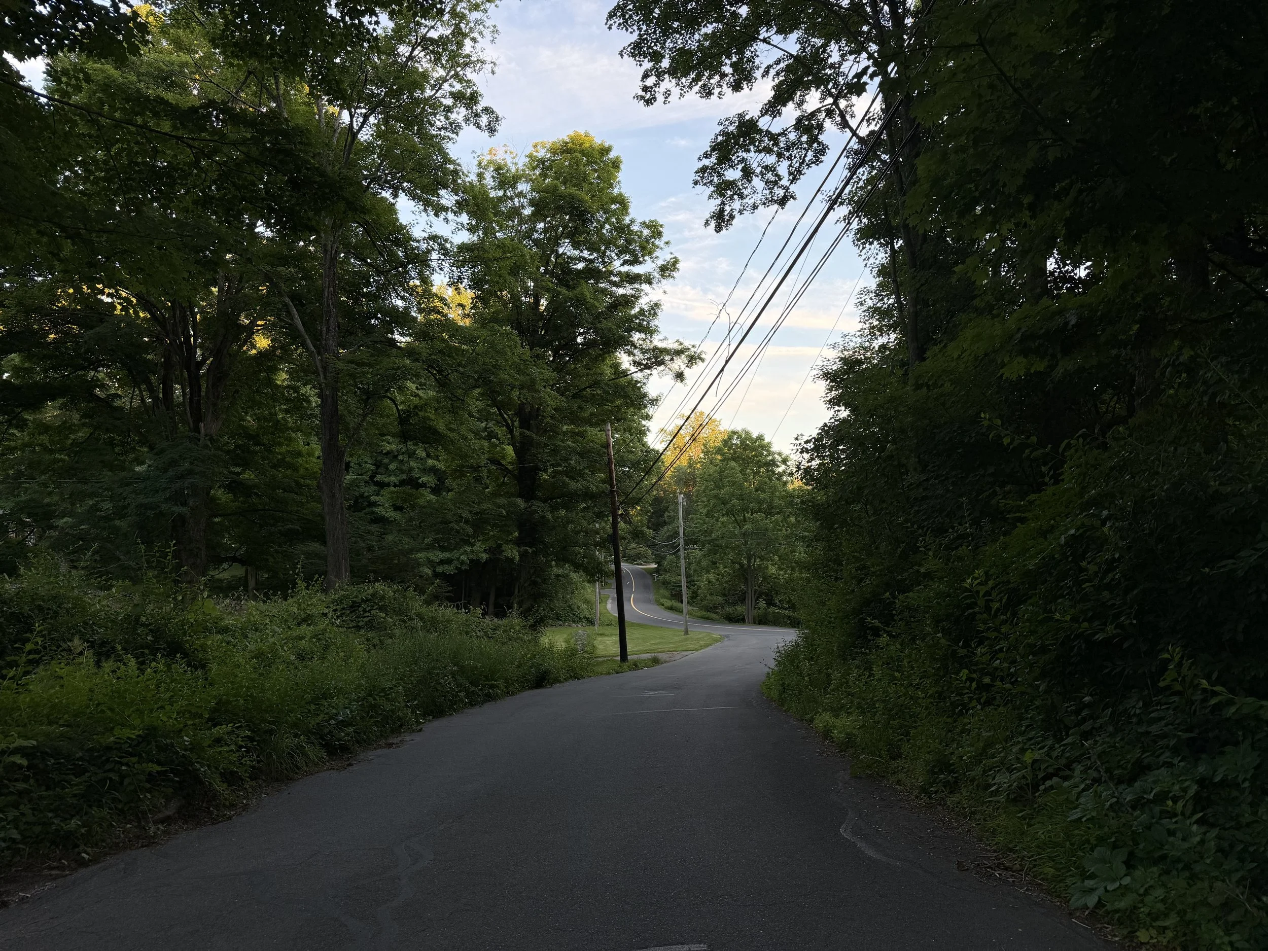 IMG_1216.jpeg