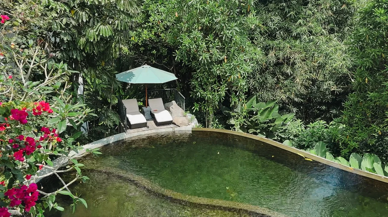 Indoor swimming pool with modern design and decorative elements