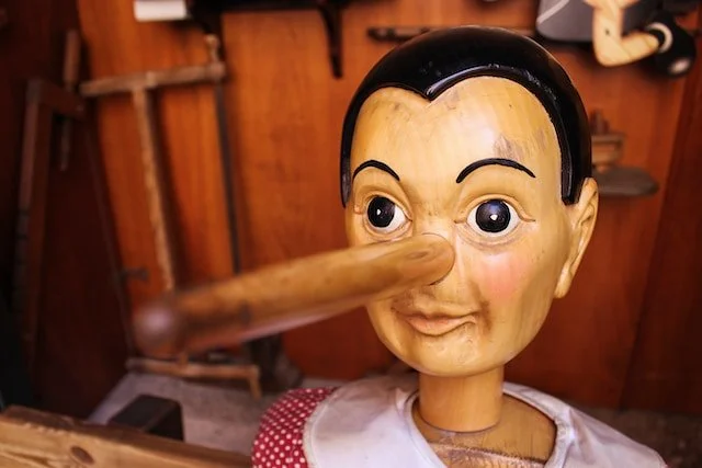 Omgaan met onwaarheden: 7 adviezen