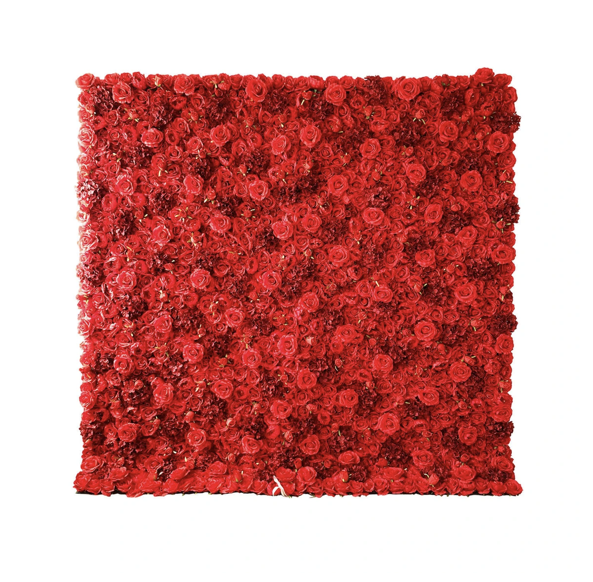 photo booth for african wedding