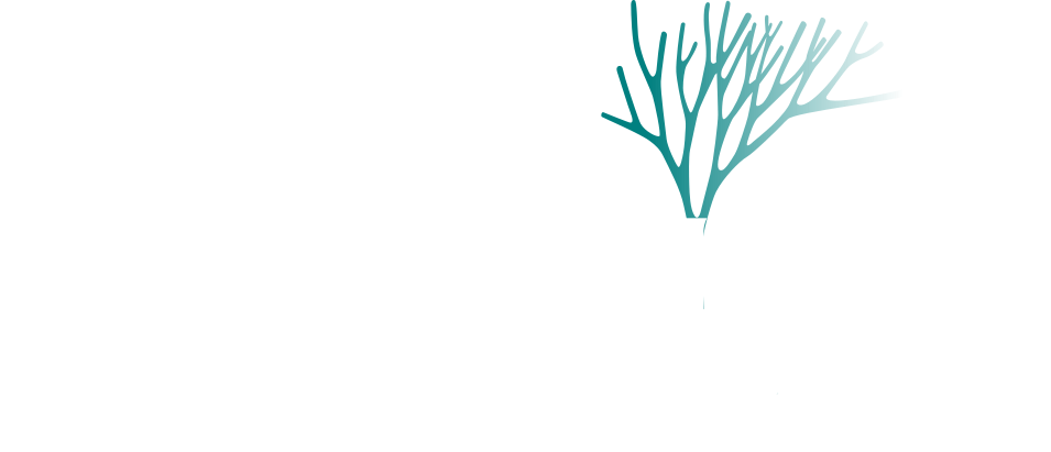 Emergent Reefs Foundation