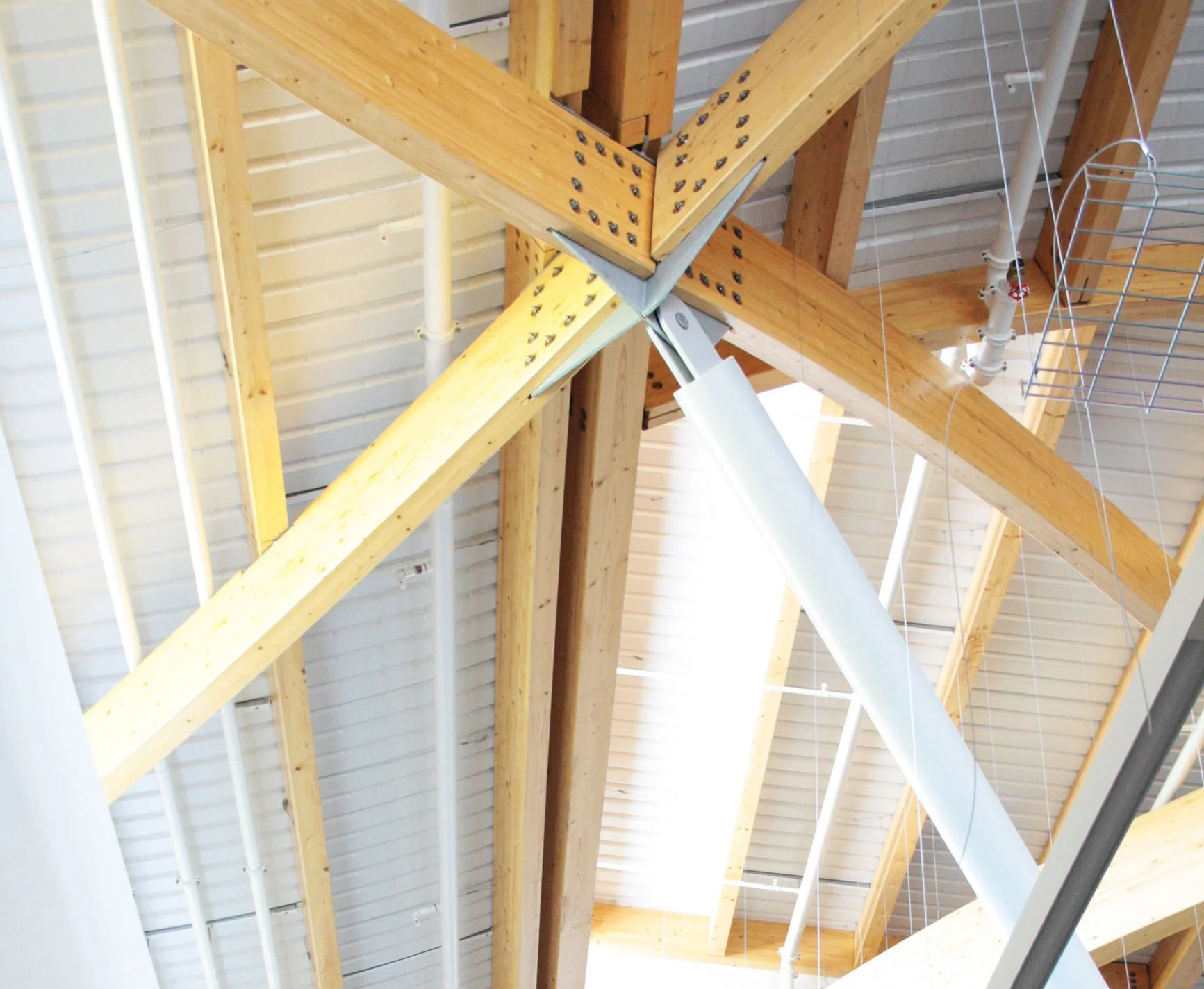 Wooden ceiling beams with metal connectors in modern architecture