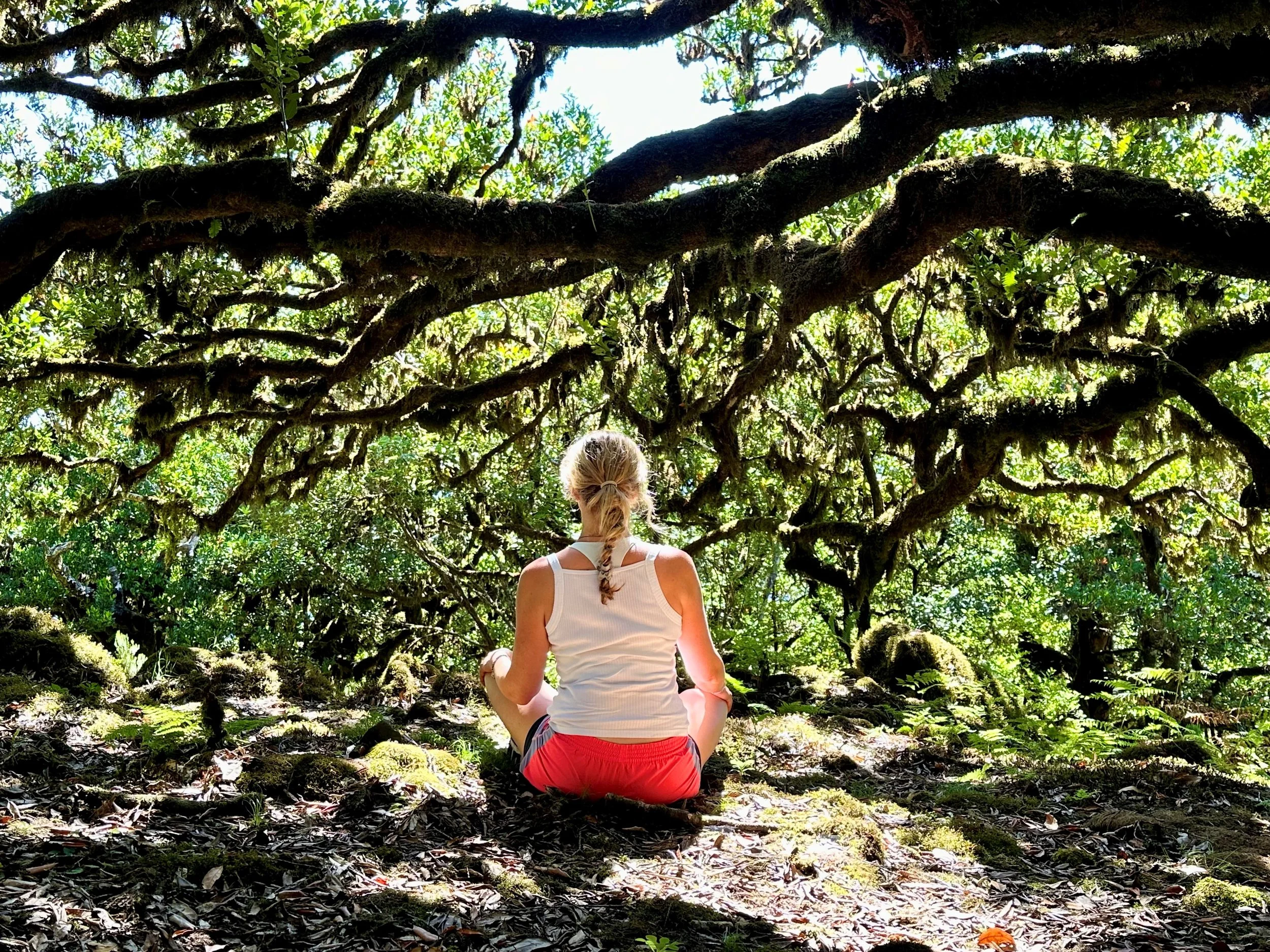 HALF DAY RESET: A Mini Retreat for a Deep Reset, A Luxurious Taste of Peace......    18 or 25 July 2026, 09.30 - 14.30
