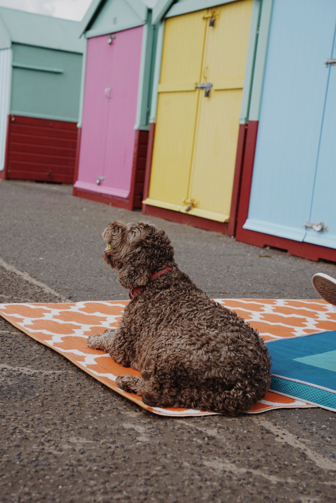 Constance-Dero-Brighton-37.jpg