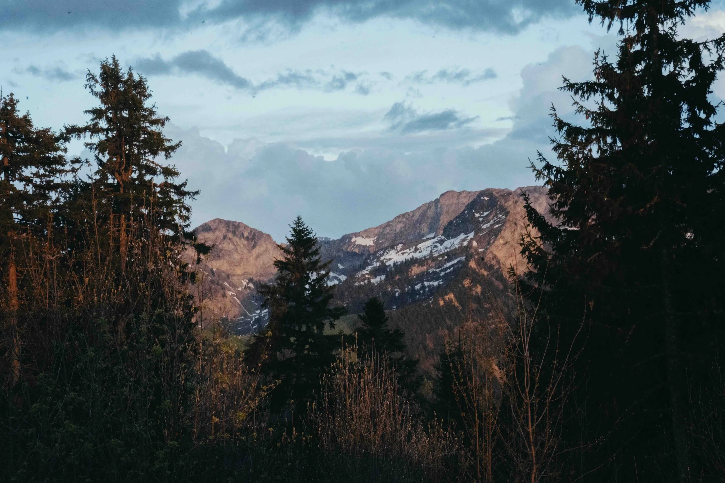 constance-dero-photography-outdoor-13.jpeg