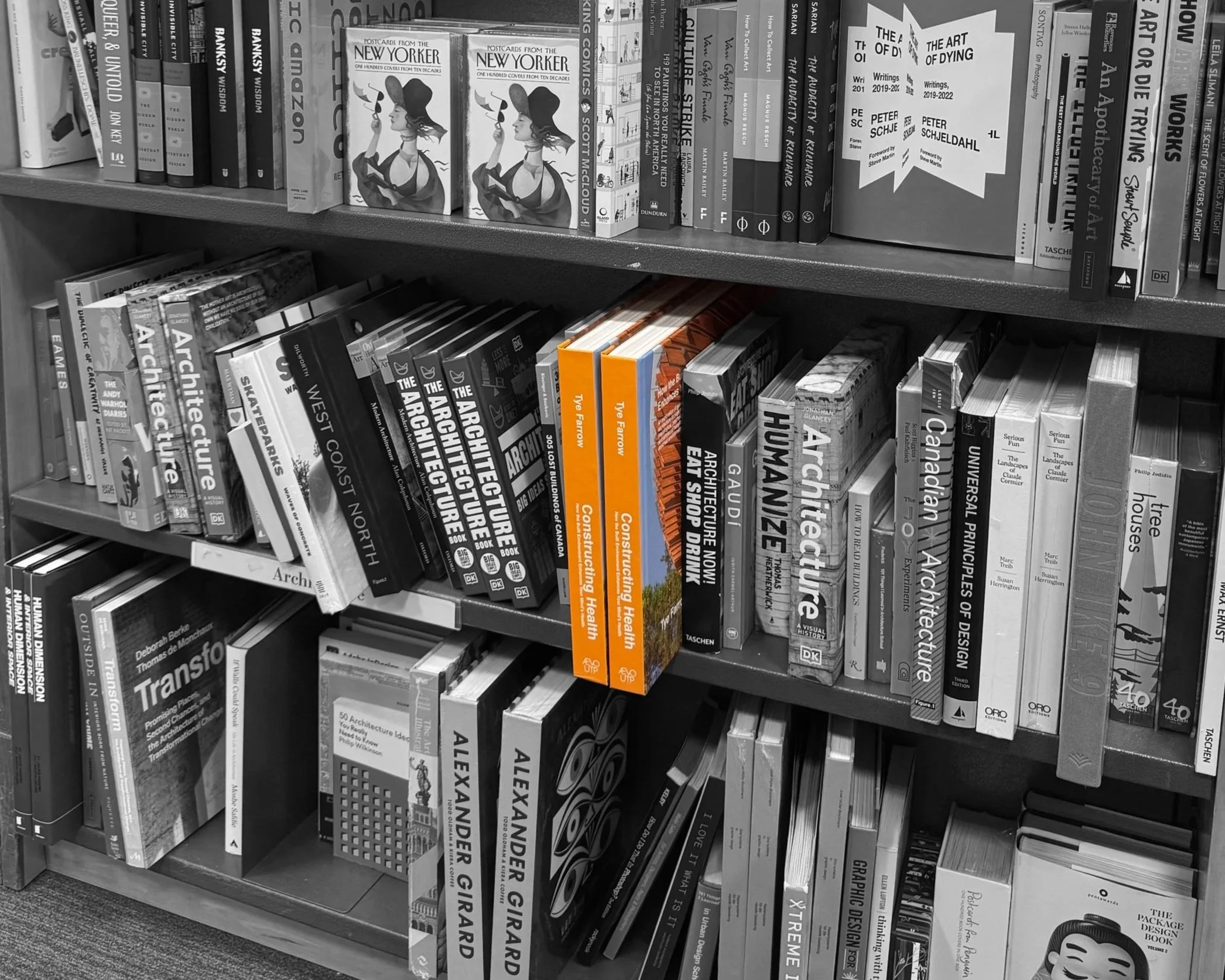 JBD Book Review: Constructing Health