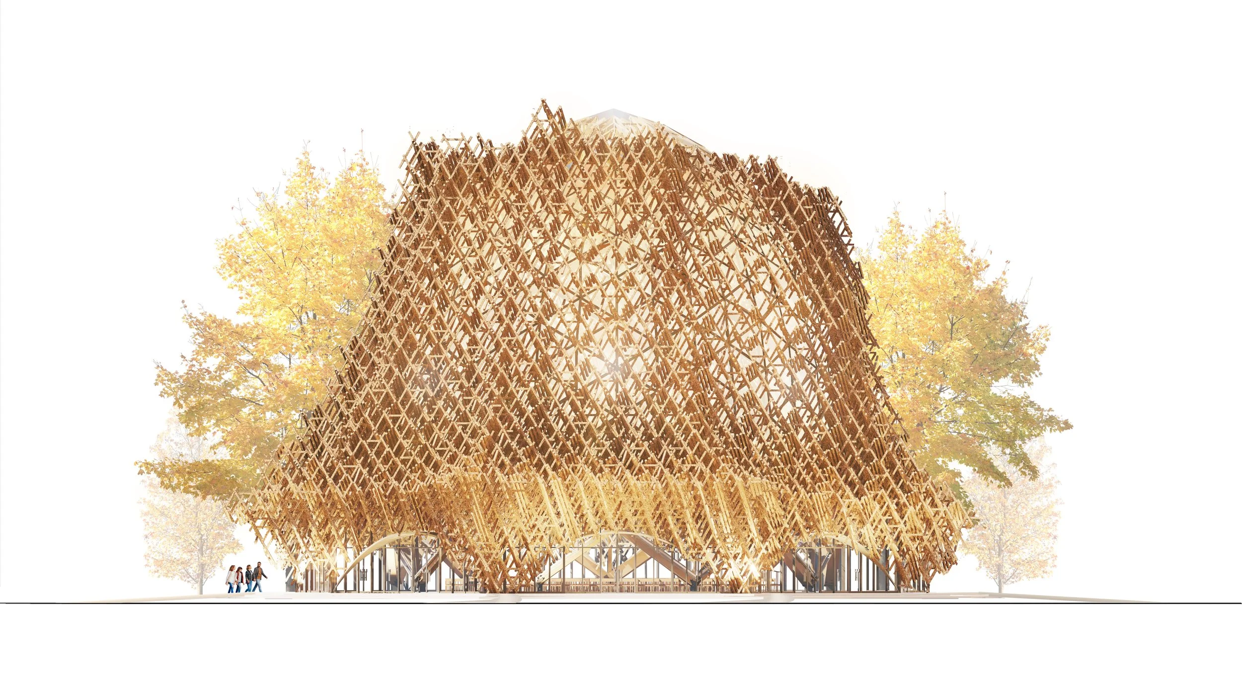 Forest Temple-Diargam-8.jpg