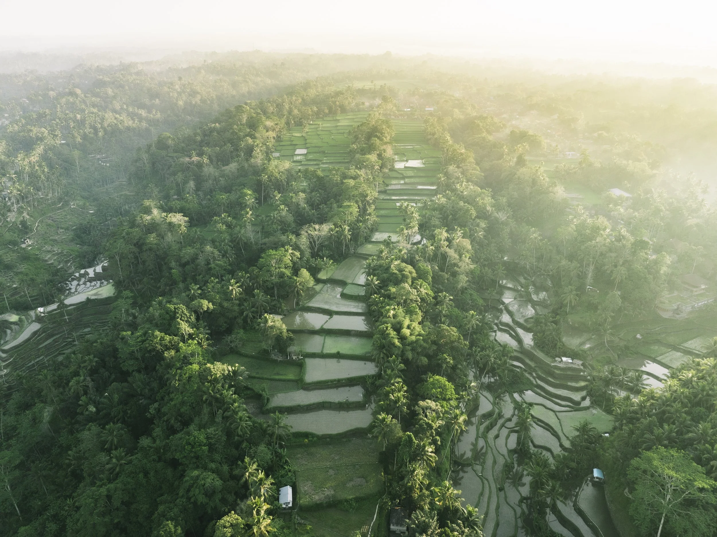 DJI_0637.jpg