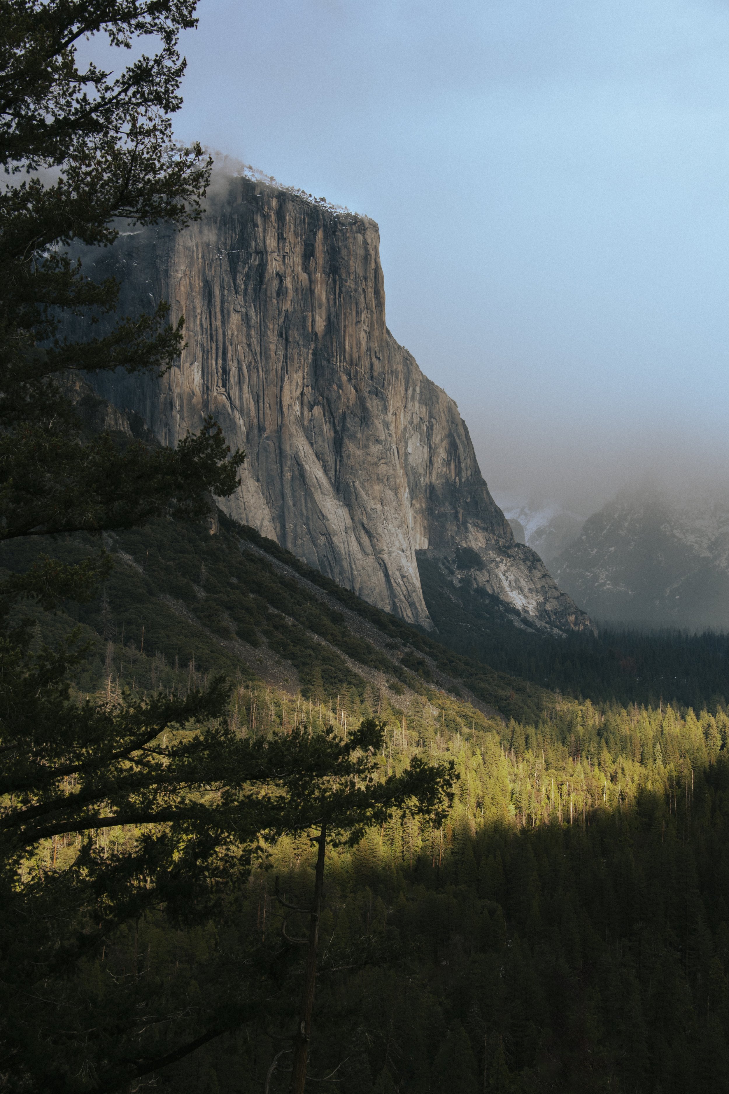 DSC_5684-Modifier.jpg