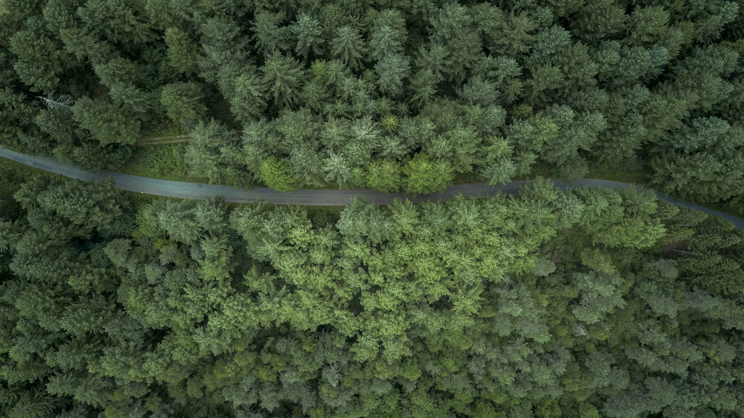 DJI_0141.jpg