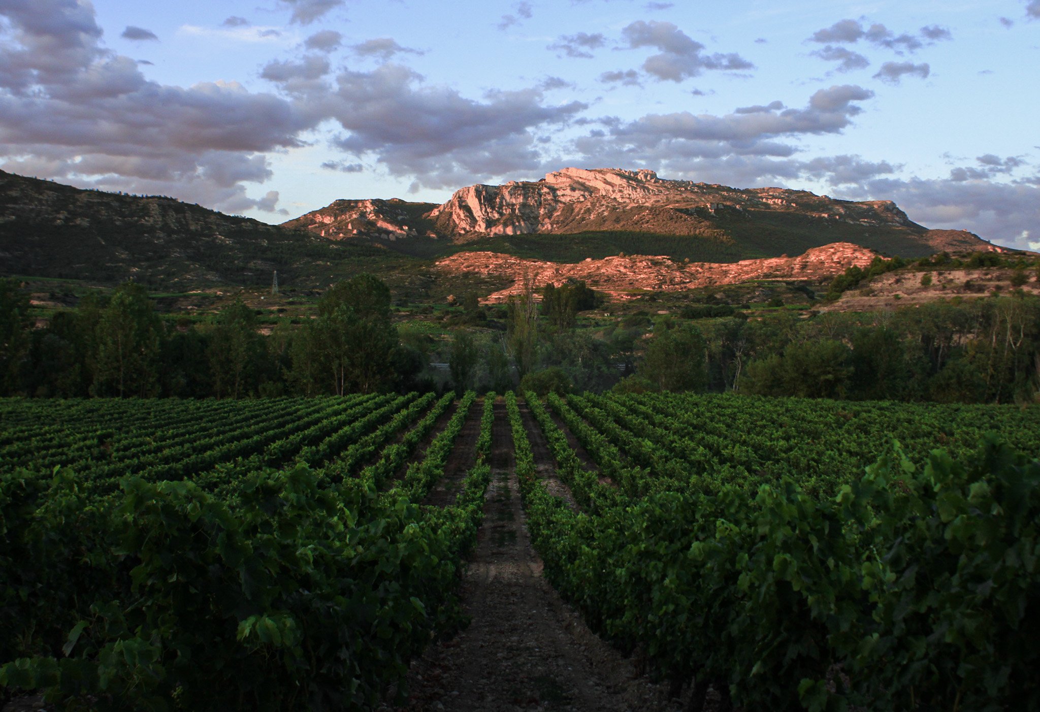 Sunset on the Sierra-1.jpg