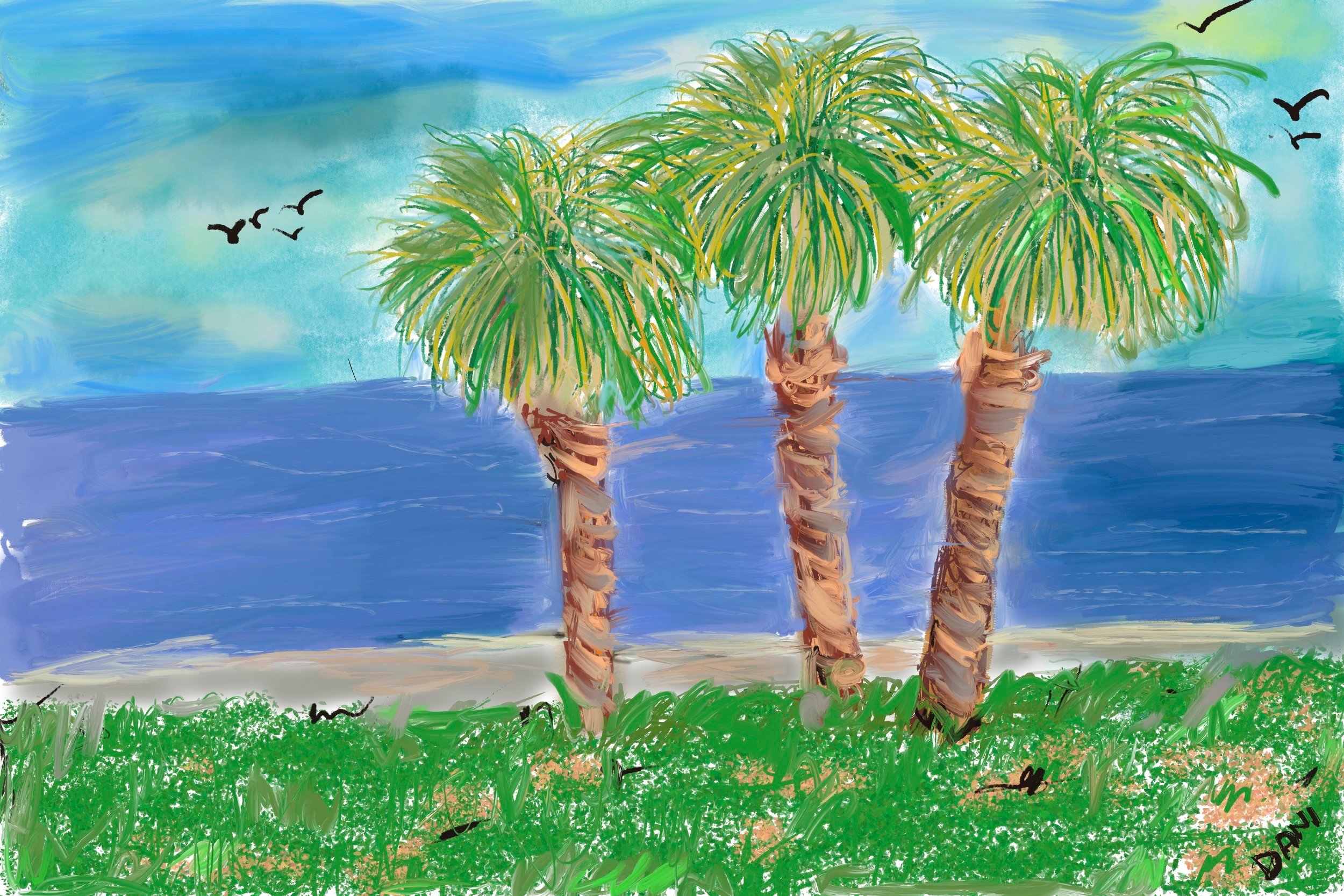 Florida Palm Streets