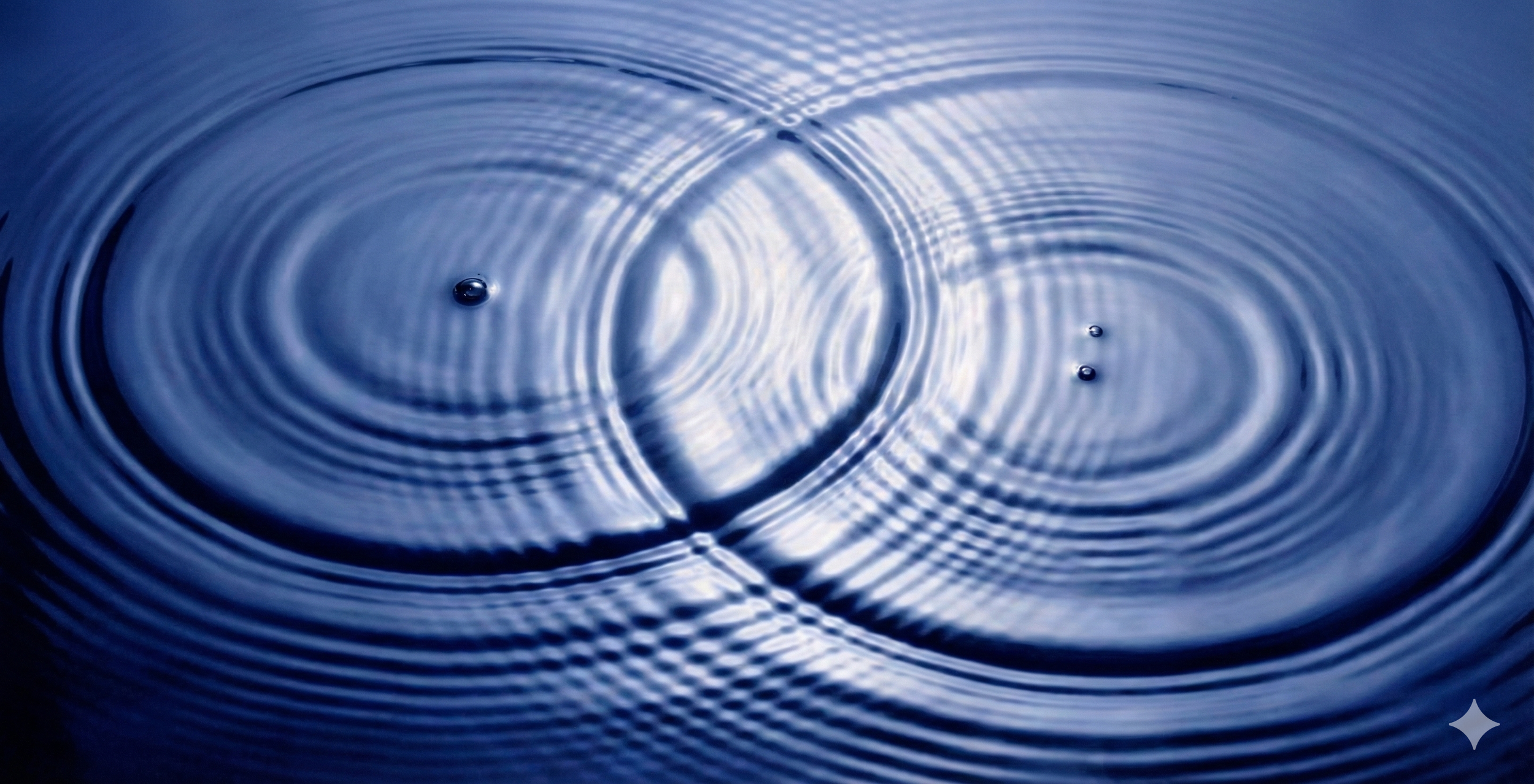 The Agential Organisation