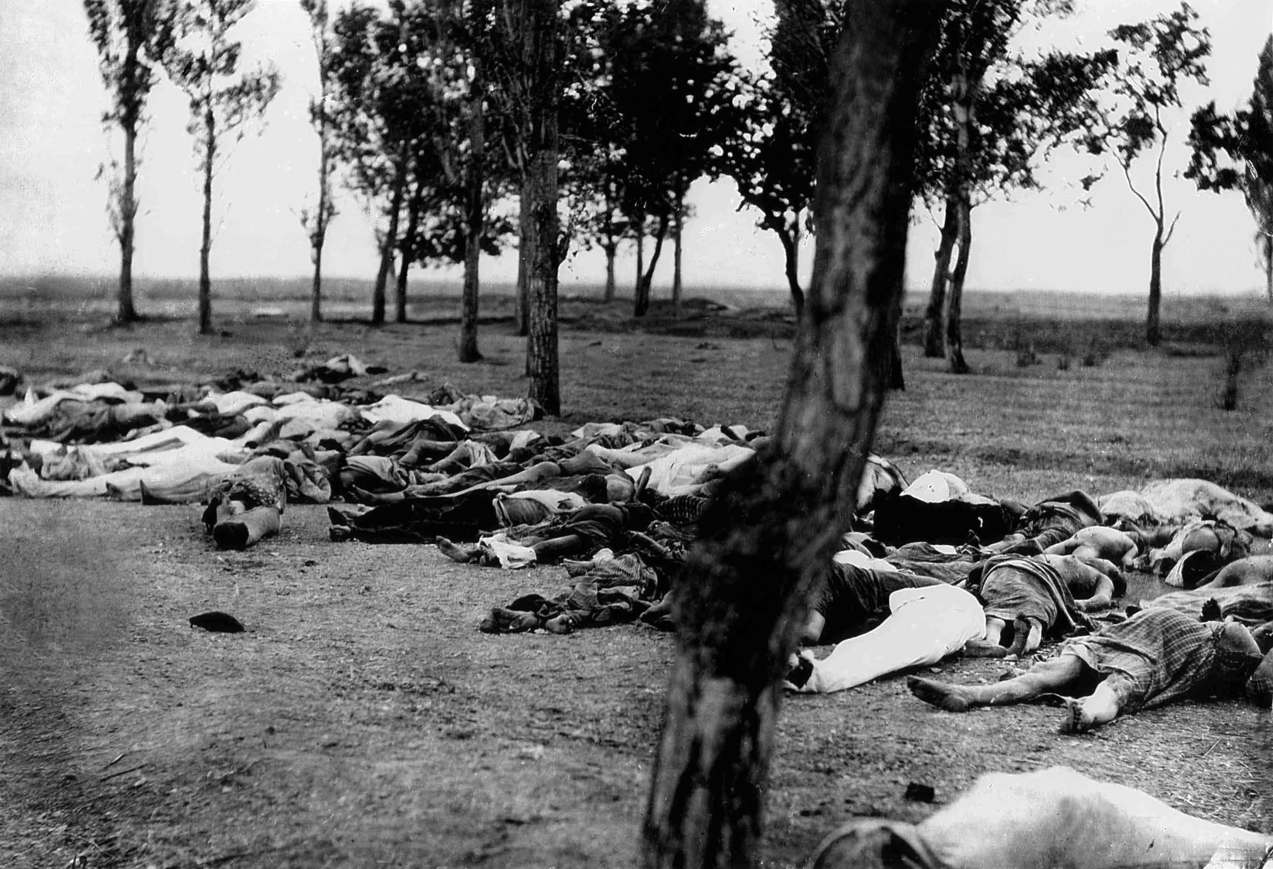 111 ans du génocide arménien : Pour que plus jamais une telle atrocité ne se répète
