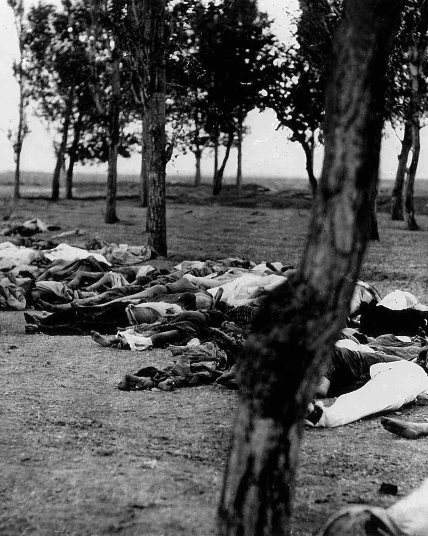 111 ans du génocide arménien : Pour que plus jamais une telle atrocité ne se répète