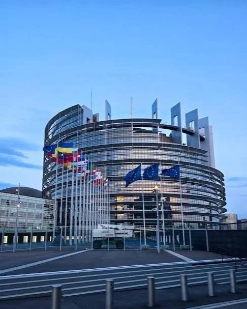 Vrai ou faux à Strasbourg