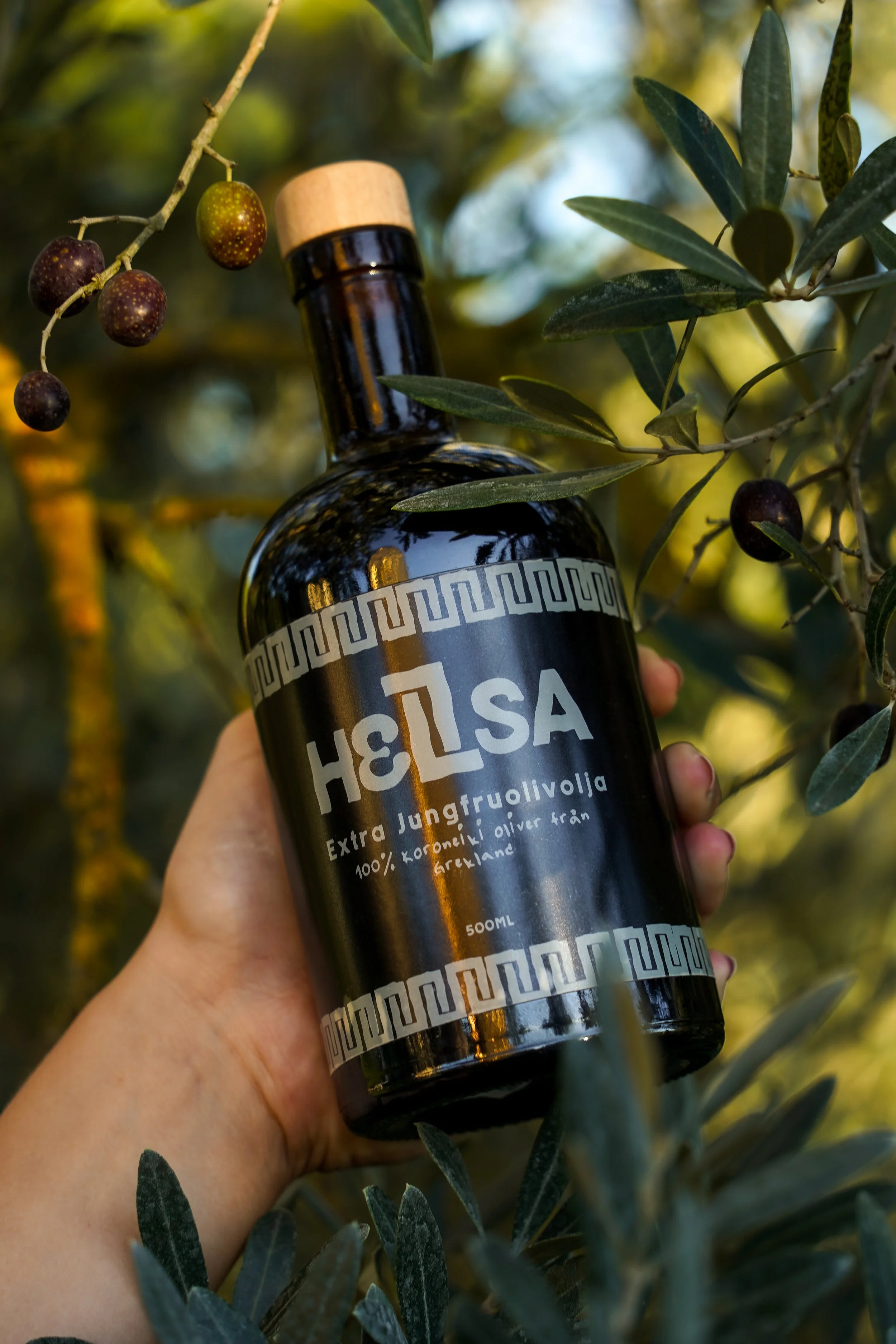 HELLSA-04.jpg