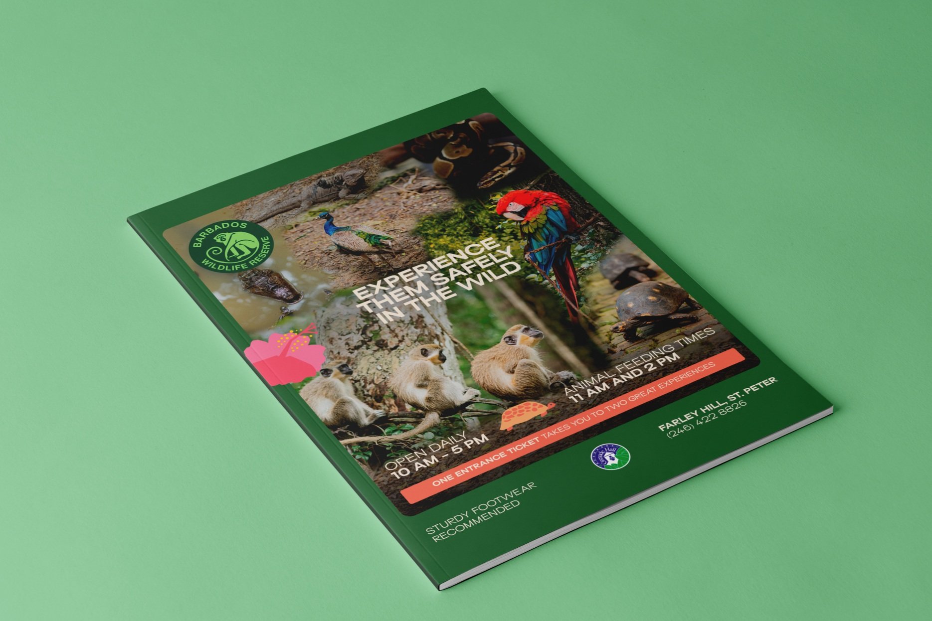 Free+A4+Magazine+Mockup.jpg