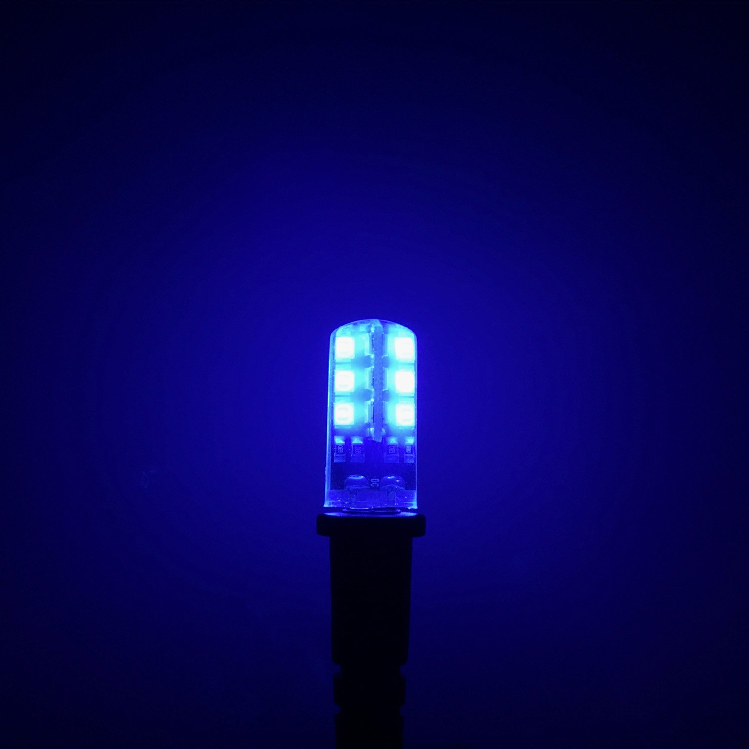 blacklight-bulb-12-volt-dc