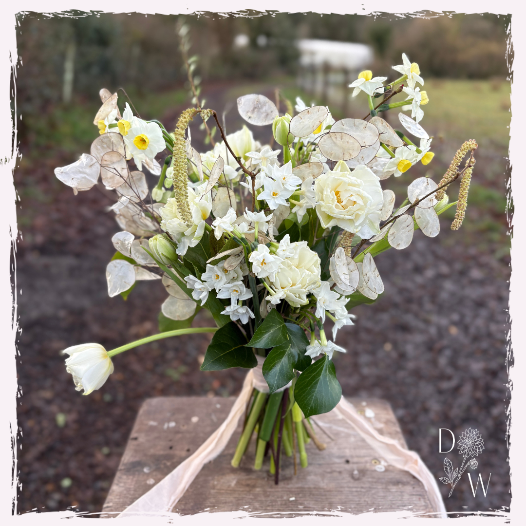 Narcissi, honesty seedpods, catkins, tulips and foliage