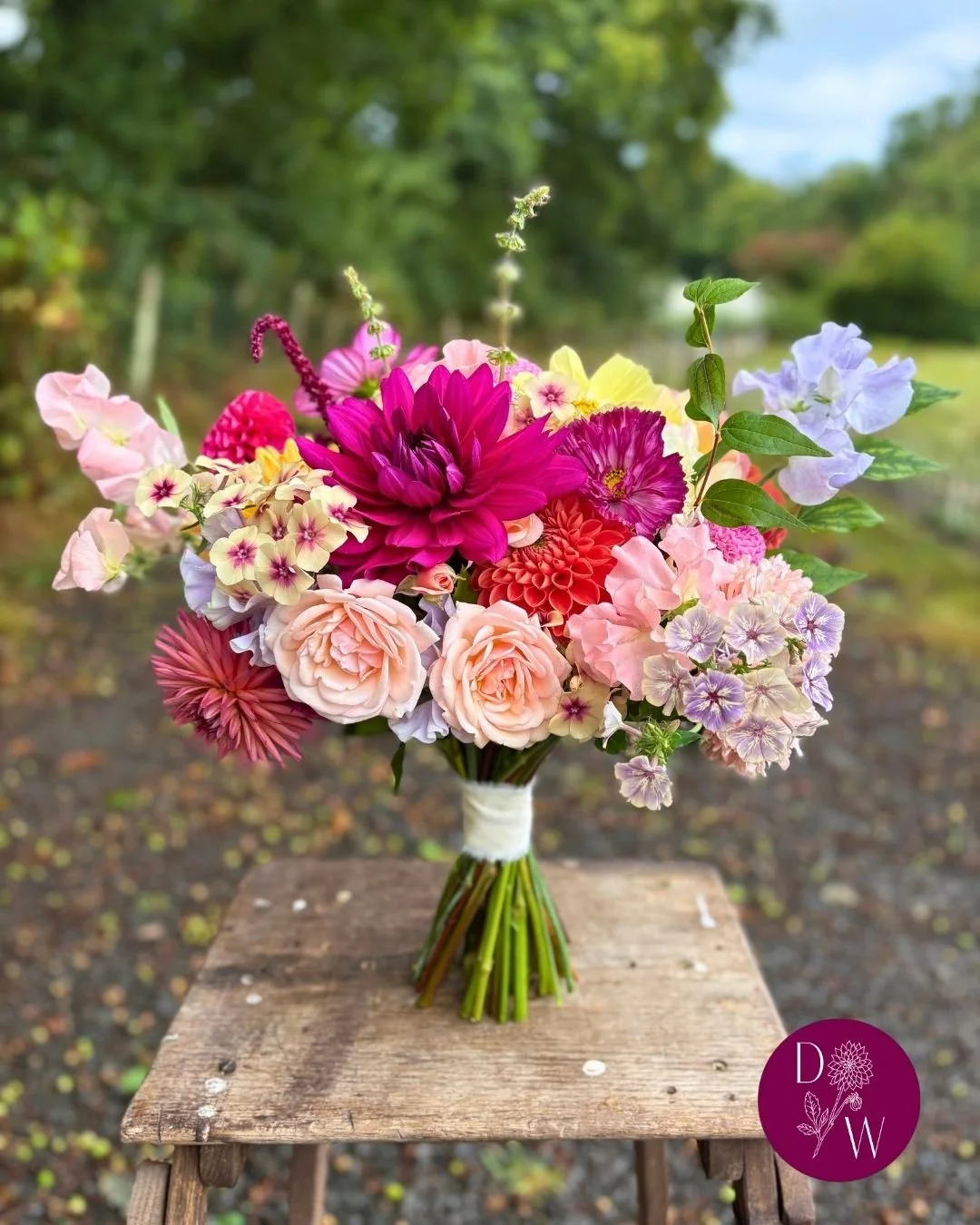 Celebrating the beautiful August bridal bouquet of H&amp;M. They had an open brief that asked for seasonal colour, and we enjoyed the creative freedom that came with that! 

The Dahlia Wood | Slow grown, seasonal Welsh flowers | Whimsical, romantic a