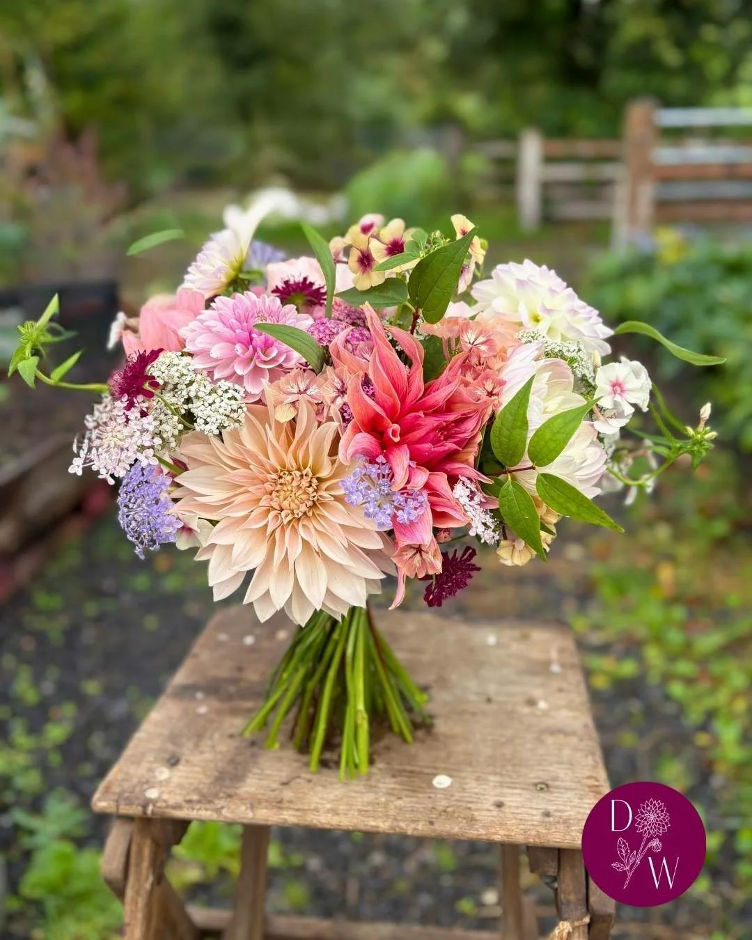 Celebrating the beautiful September bridal bouquet of L&amp;G. They asked for juicy mixed colours, and this is what we created.

The Dahlia Wood | Slow grown, seasonal Welsh flowers | Whimsical, romantic and a little bit wild

#welshweddingflowers #l