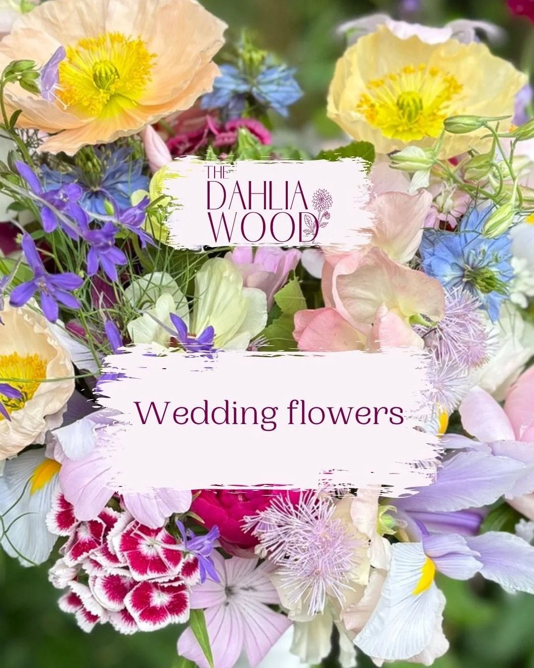 Planning a wedding? We'd love to help! ππβ¨
The Dahlia Wood | Slow grown, seasonal Welsh flowers | Whimsical, romantic and a little bit wild
#welshweddingflowers #llandeilo #welshwedding
#sustainablewelshwedding #weddingflowerinspo #colourfulweddi